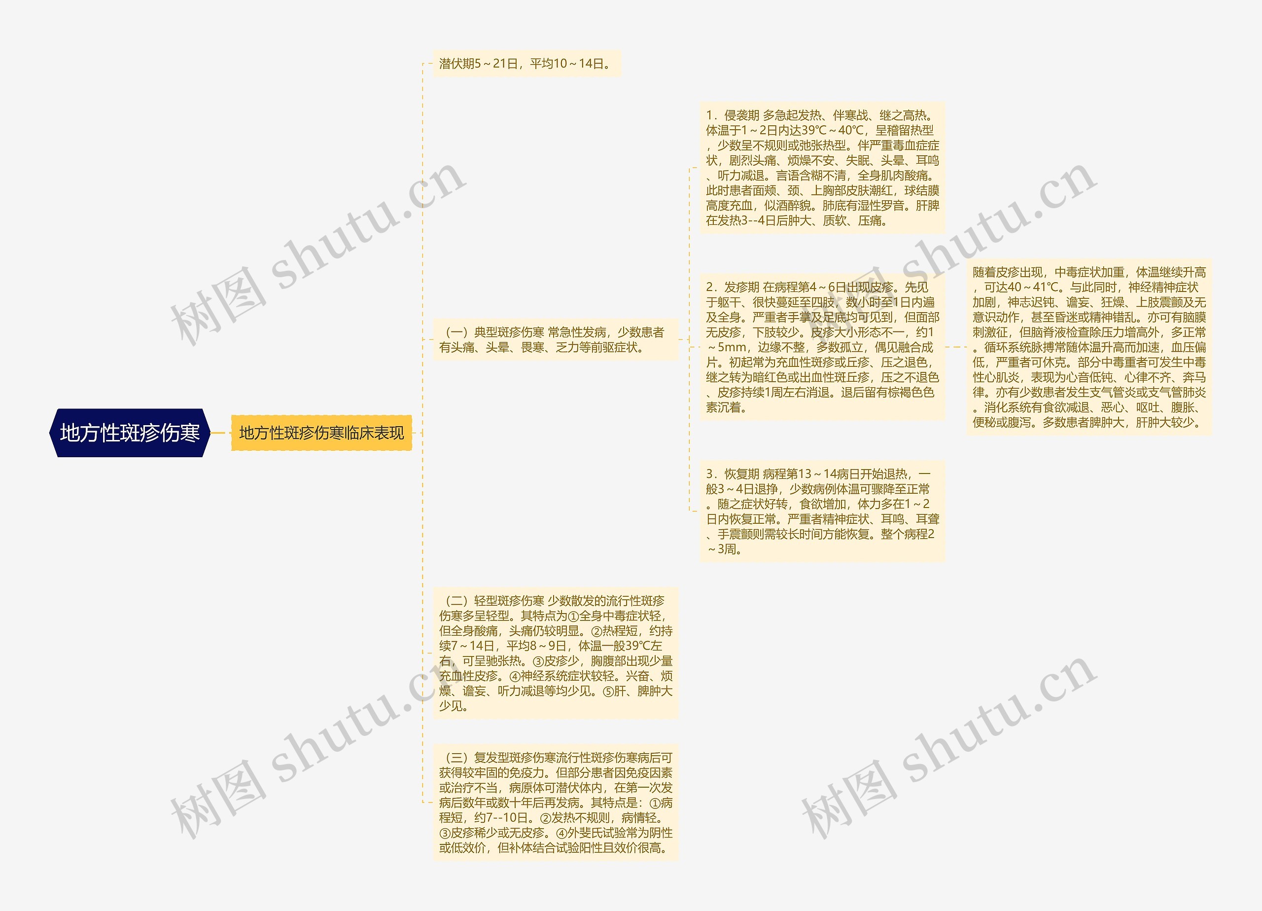 地方性斑疹伤寒思维导图