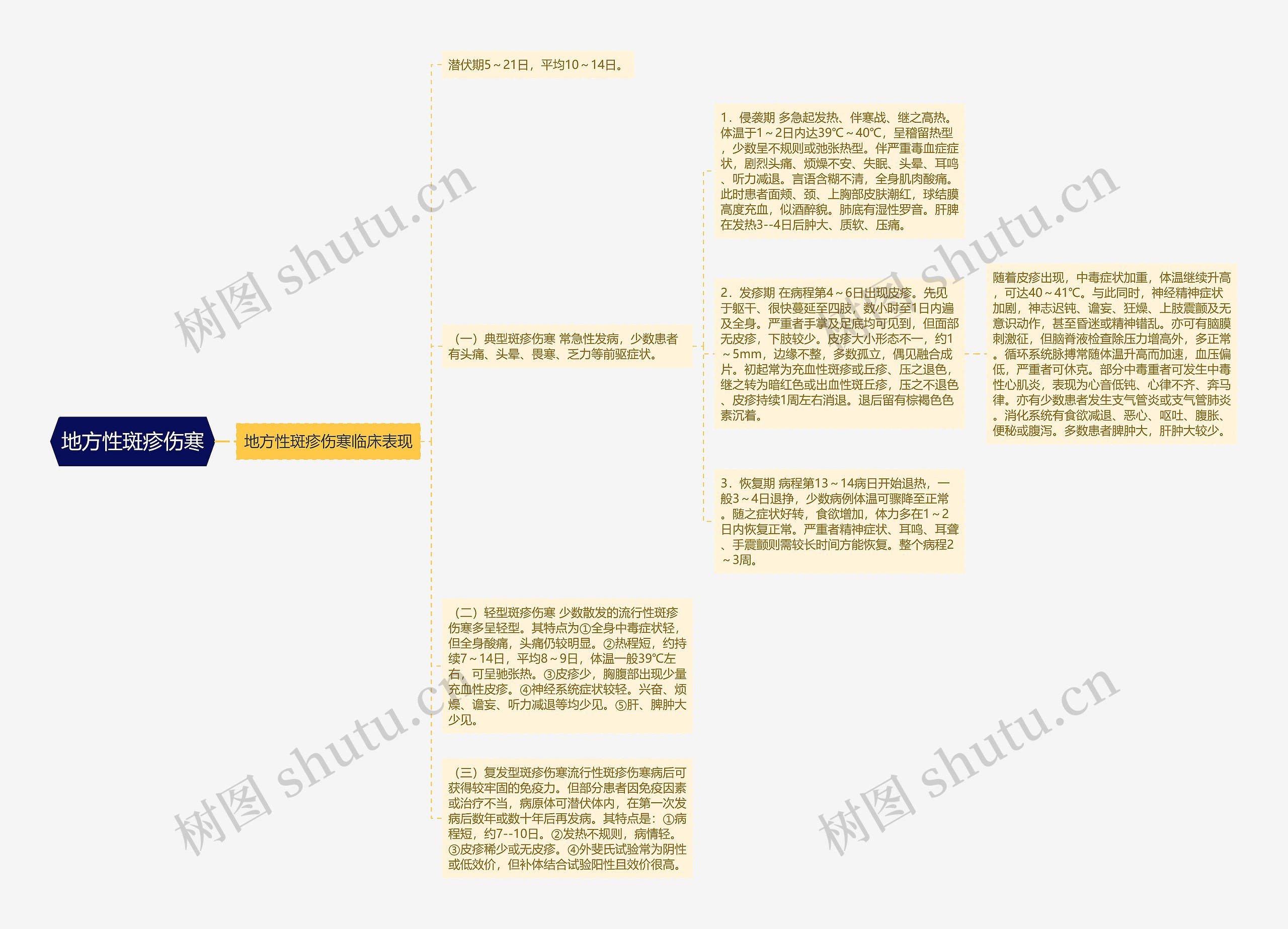 地方性斑疹伤寒 地方性斑疹伤寒