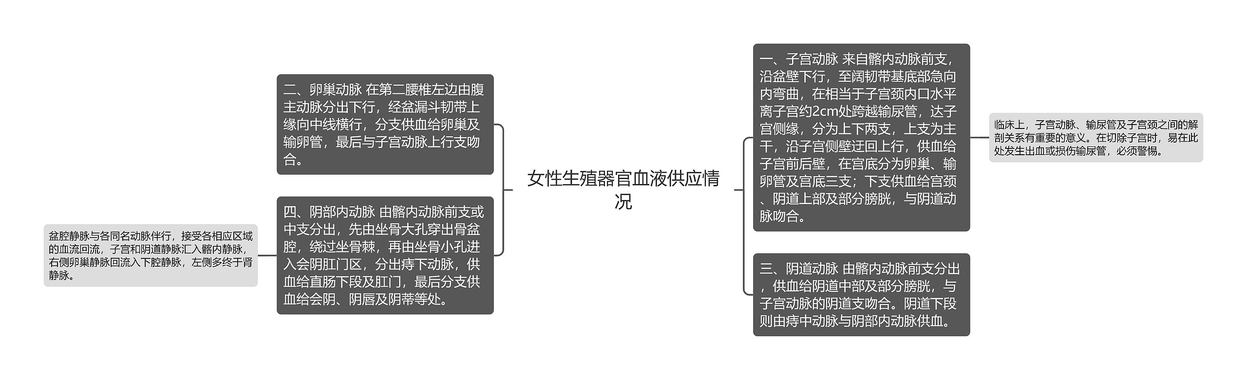 女性生殖器官血液供应情况思维导图