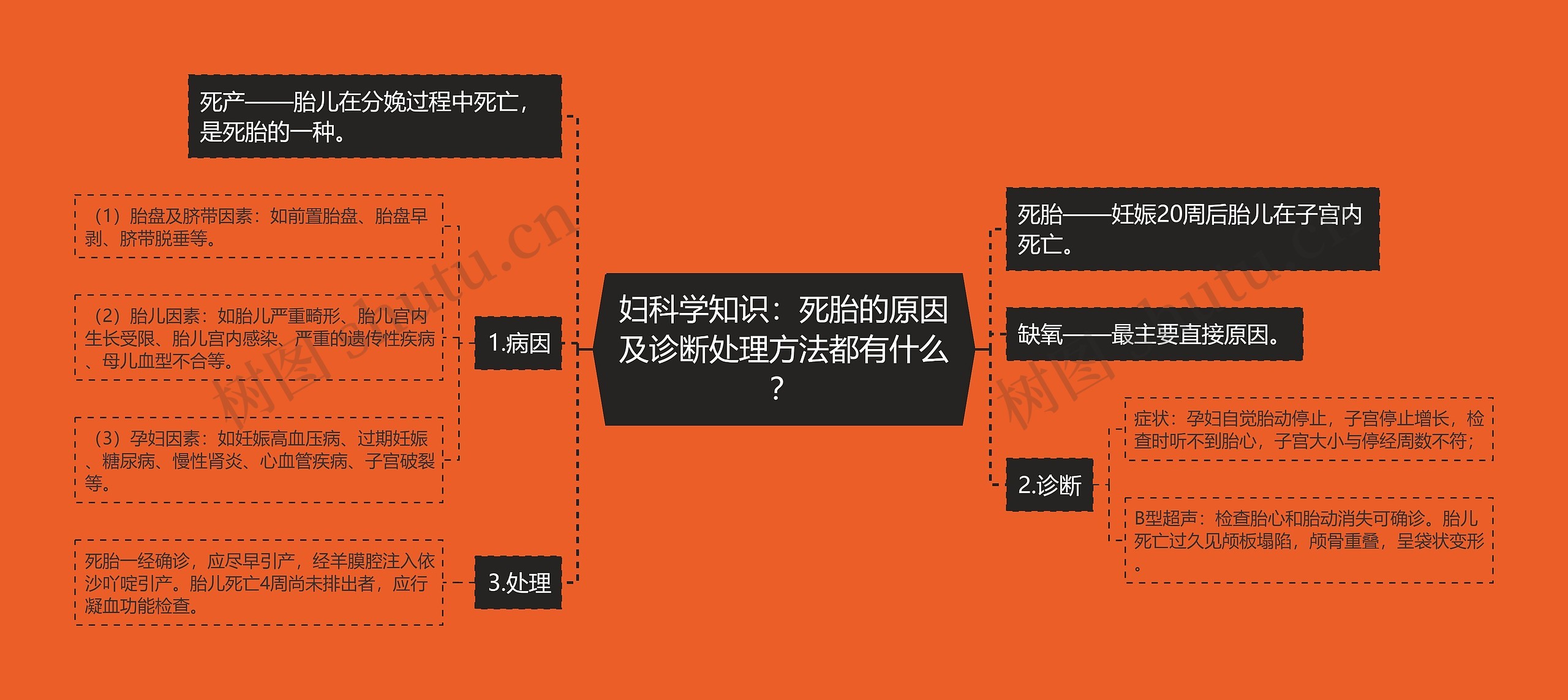 妇科学知识：死胎的原因及诊断处理方法都有什么？思维导图