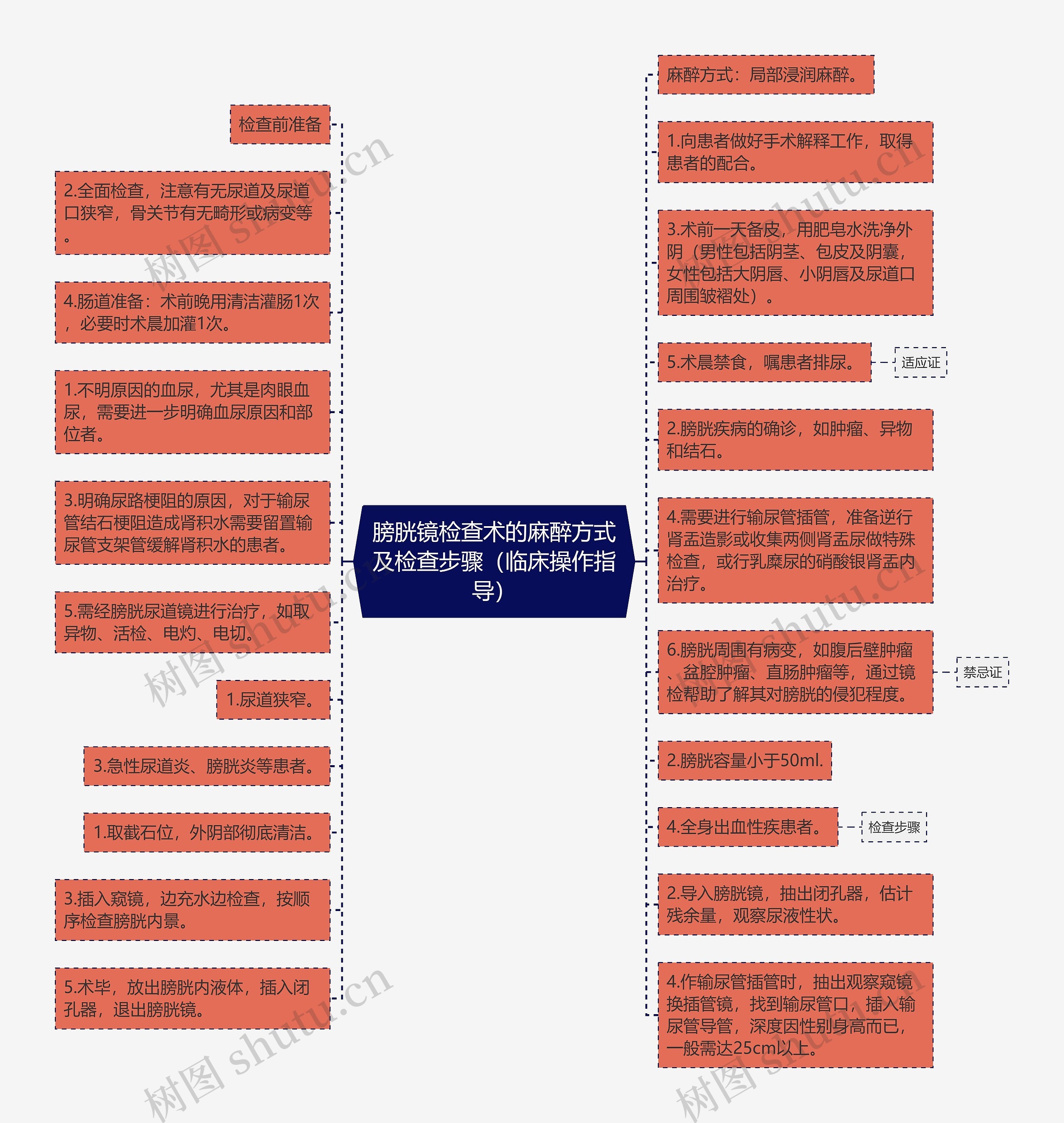 膀胱镜检查术的麻醉方式及检查步骤（临床操作指导）思维导图