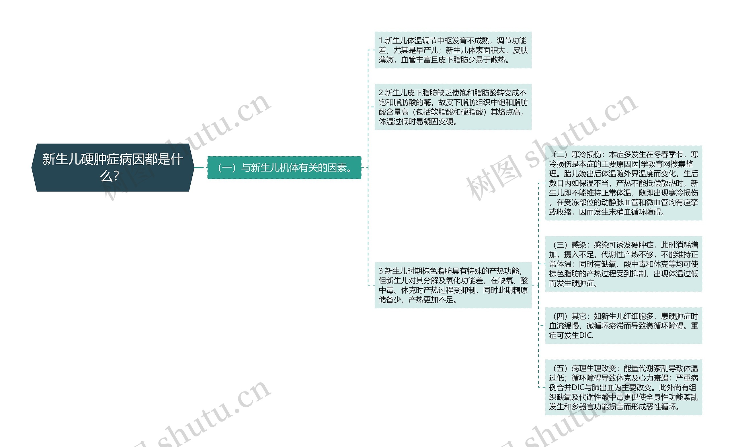 新生儿硬肿症病因都是什么？思维导图