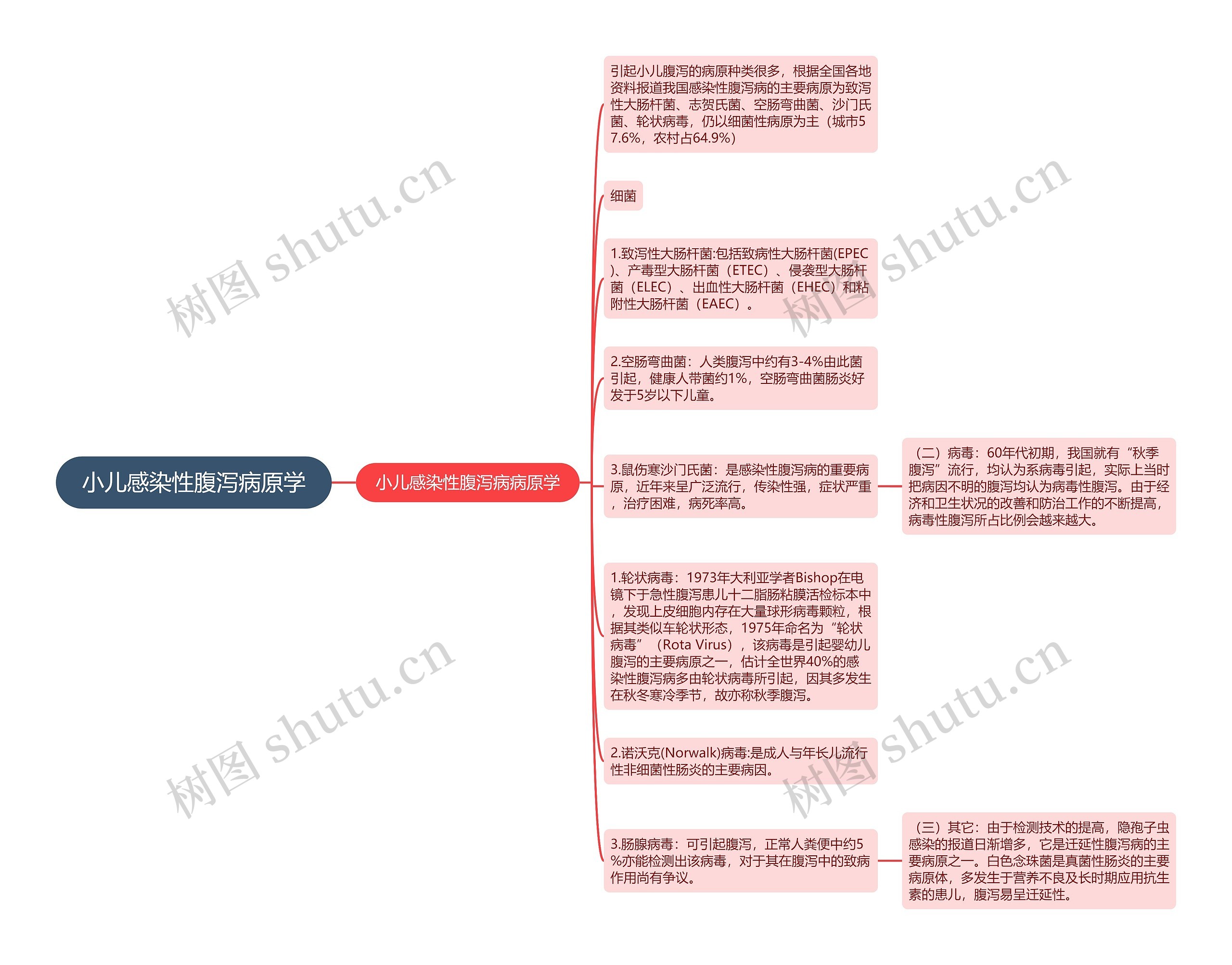 小儿感染性腹泻病原学