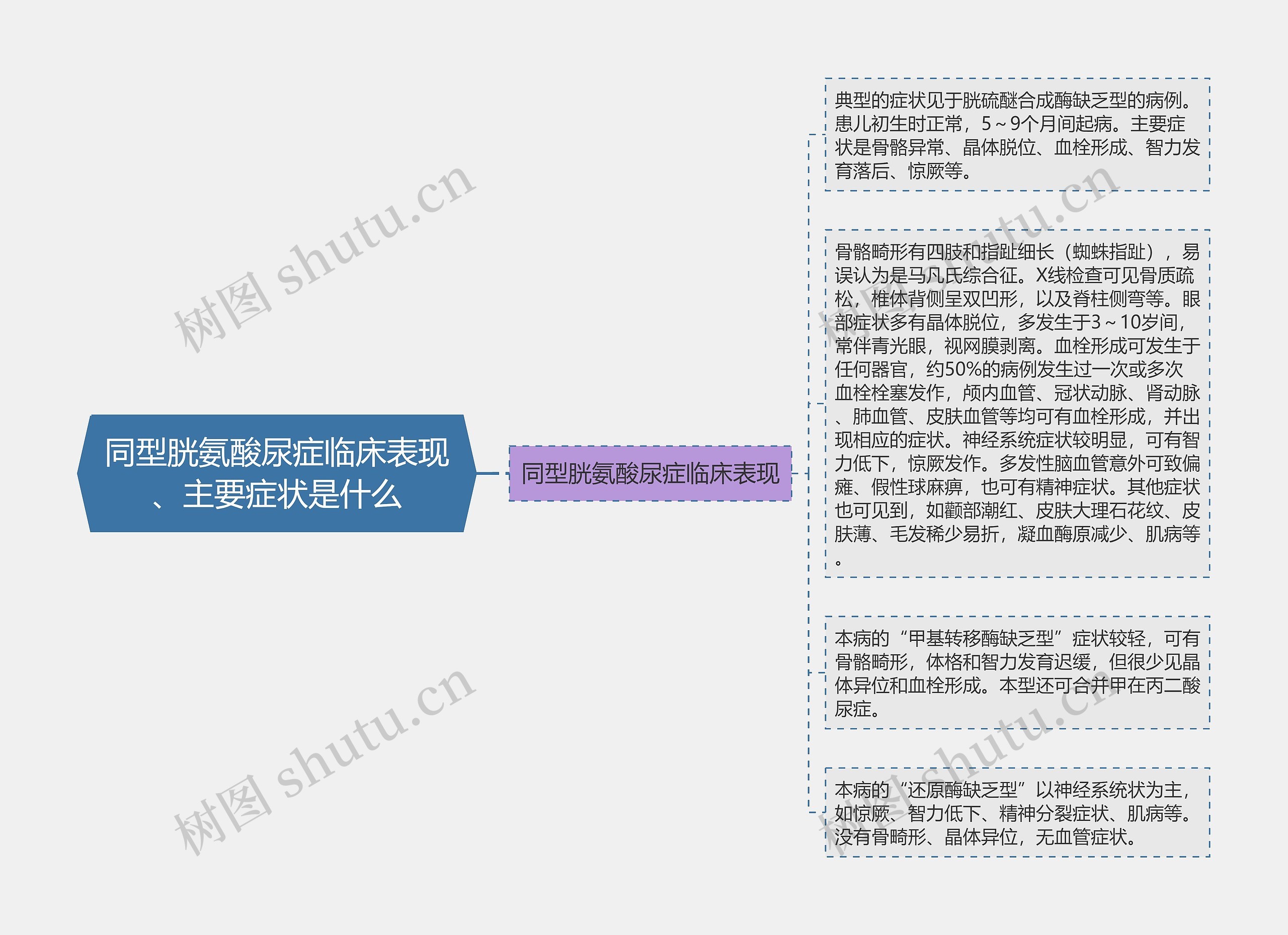 同型胱氨酸尿症临床表现、主要症状是什么思维导图