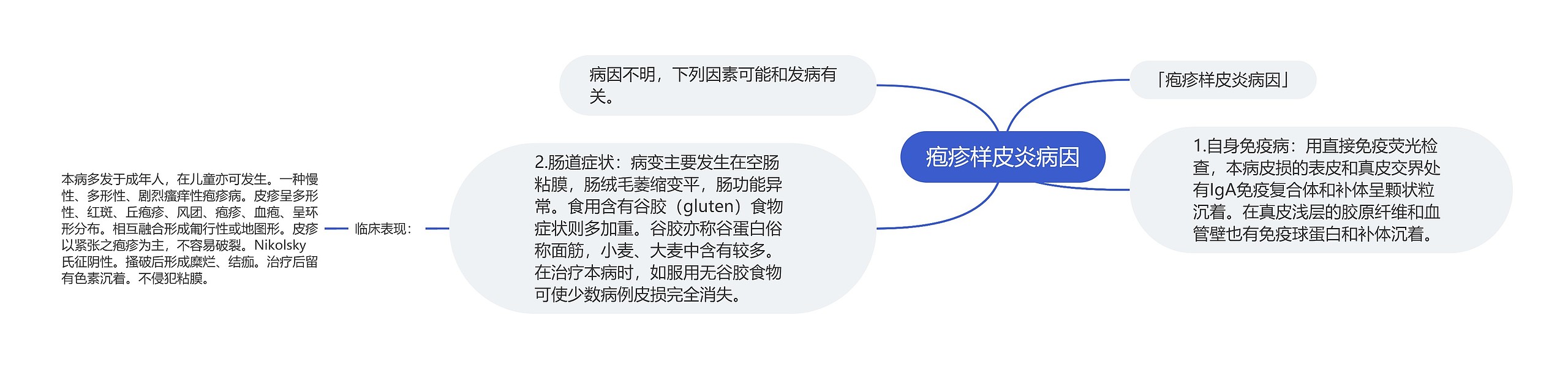 疱疹样皮炎病因思维导图