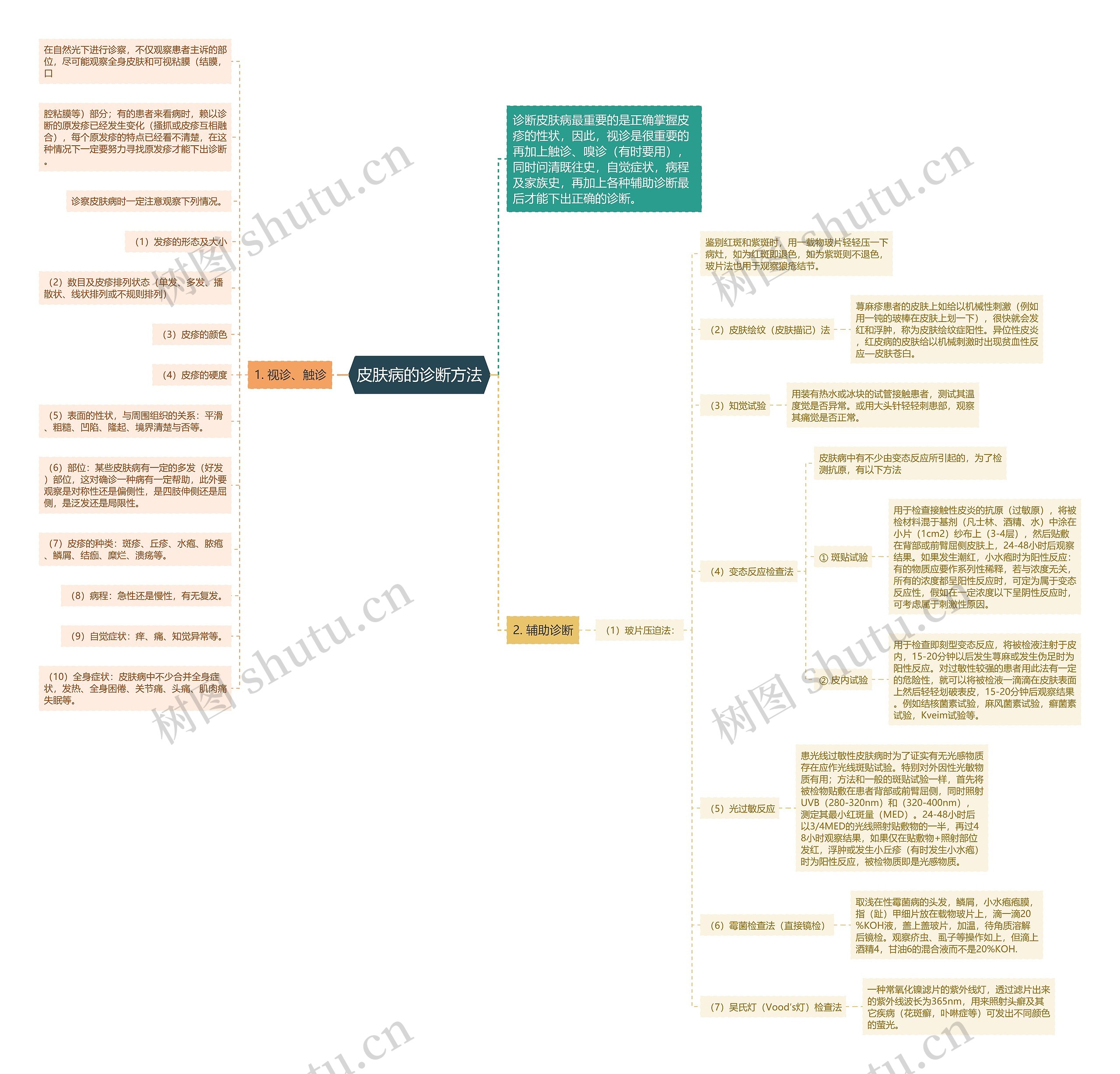 皮肤病的诊断方法思维导图