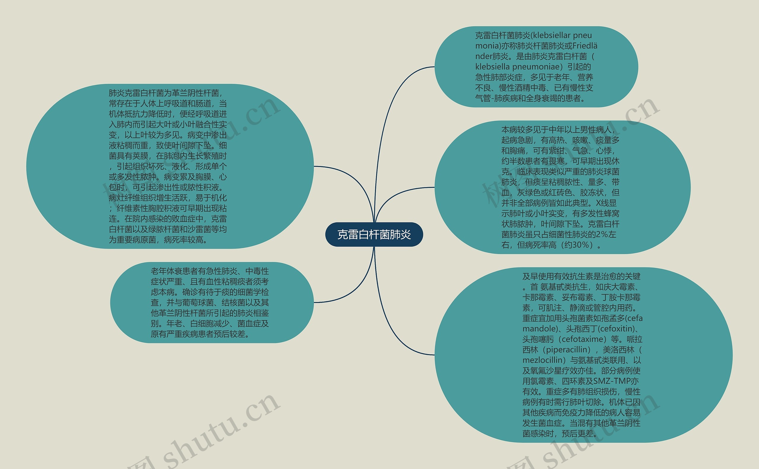 克雷白杆菌肺炎思维导图