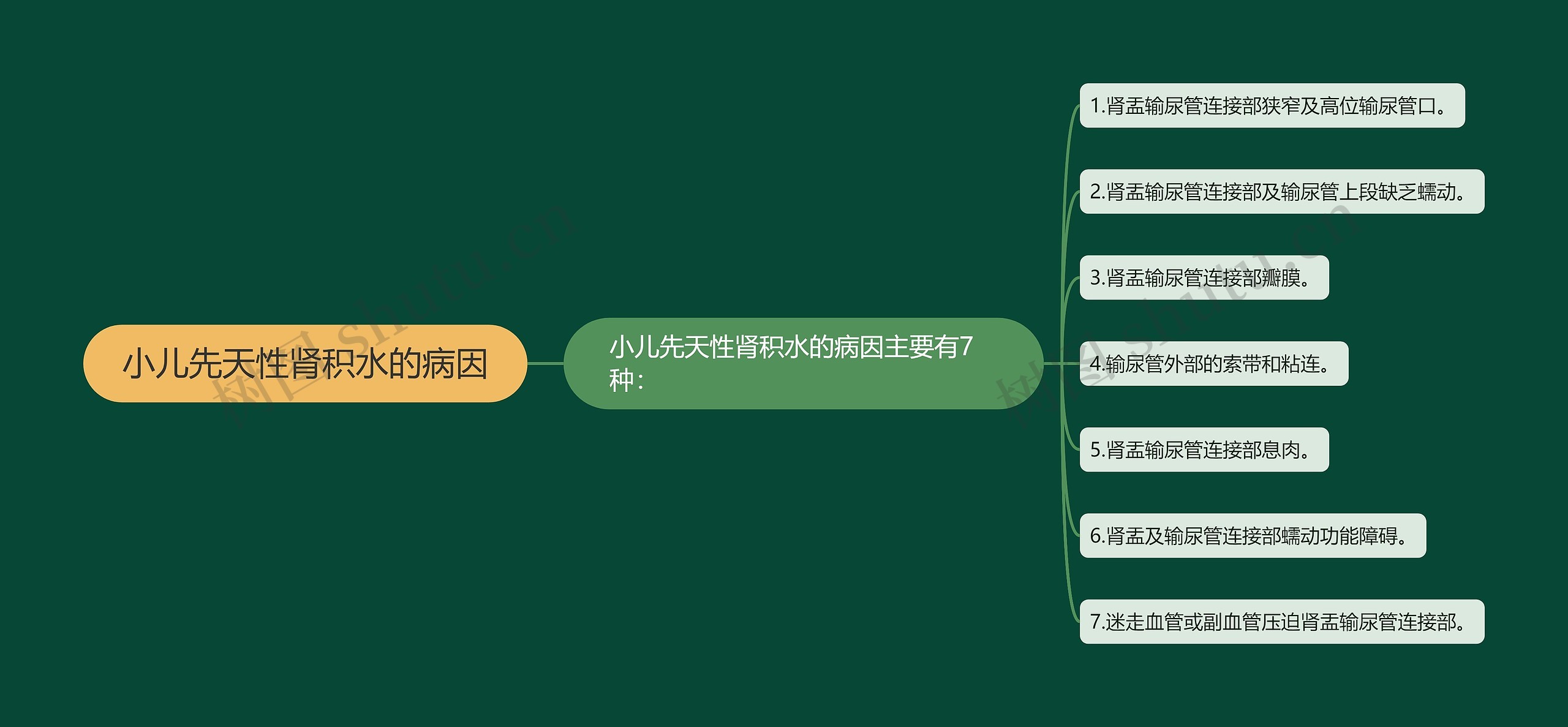 小儿先天性肾积水的病因思维导图