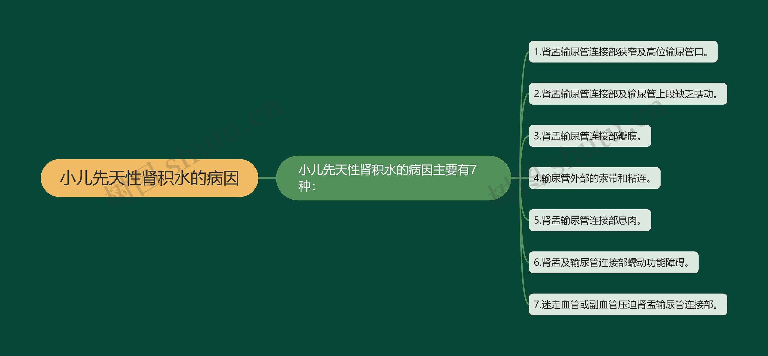 小儿先天性肾积水的病因 小儿先天性肾积水的病因