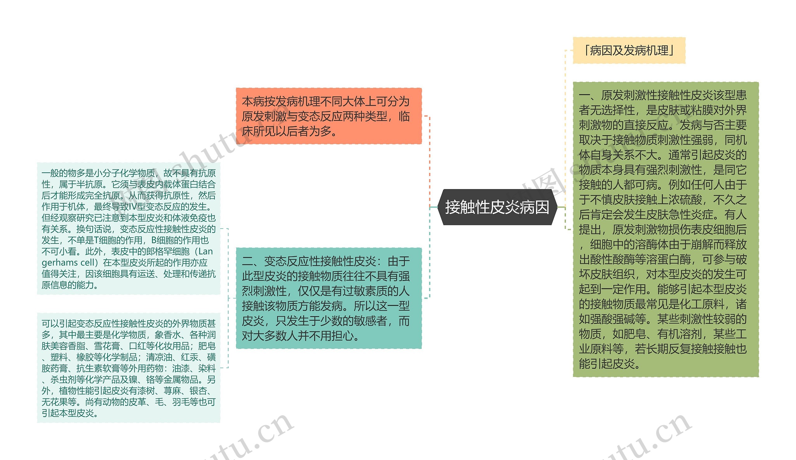 接触性皮炎病因思维导图