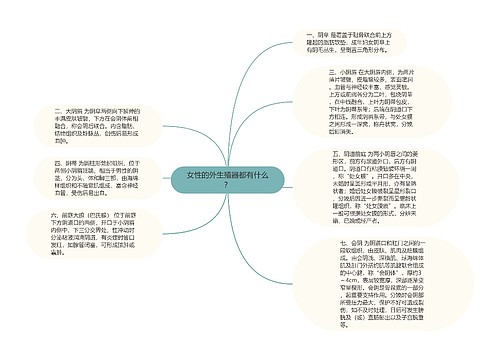 女性的外生殖器都有什么？