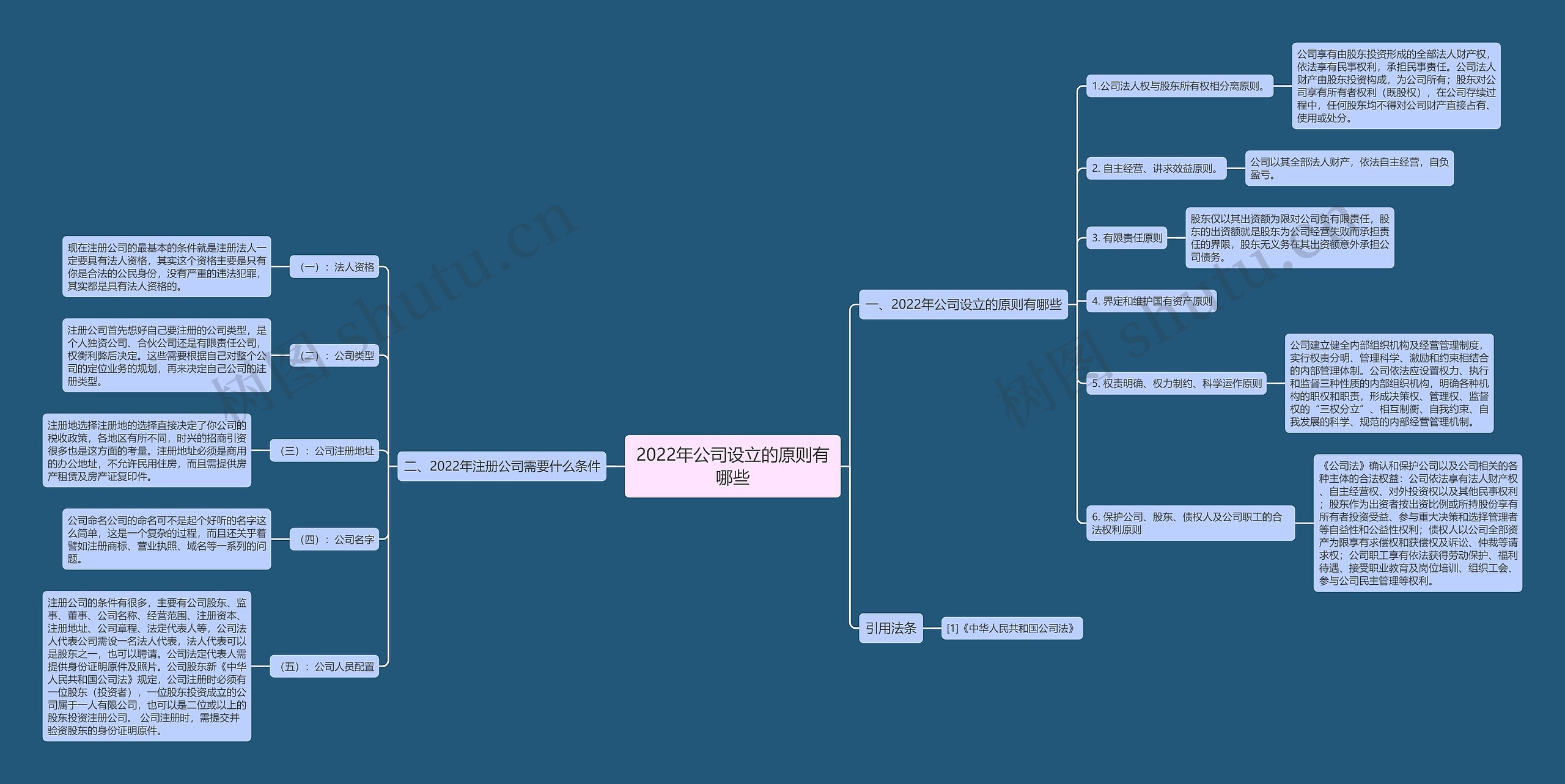 2022年公司设立的原则有哪些思维导图