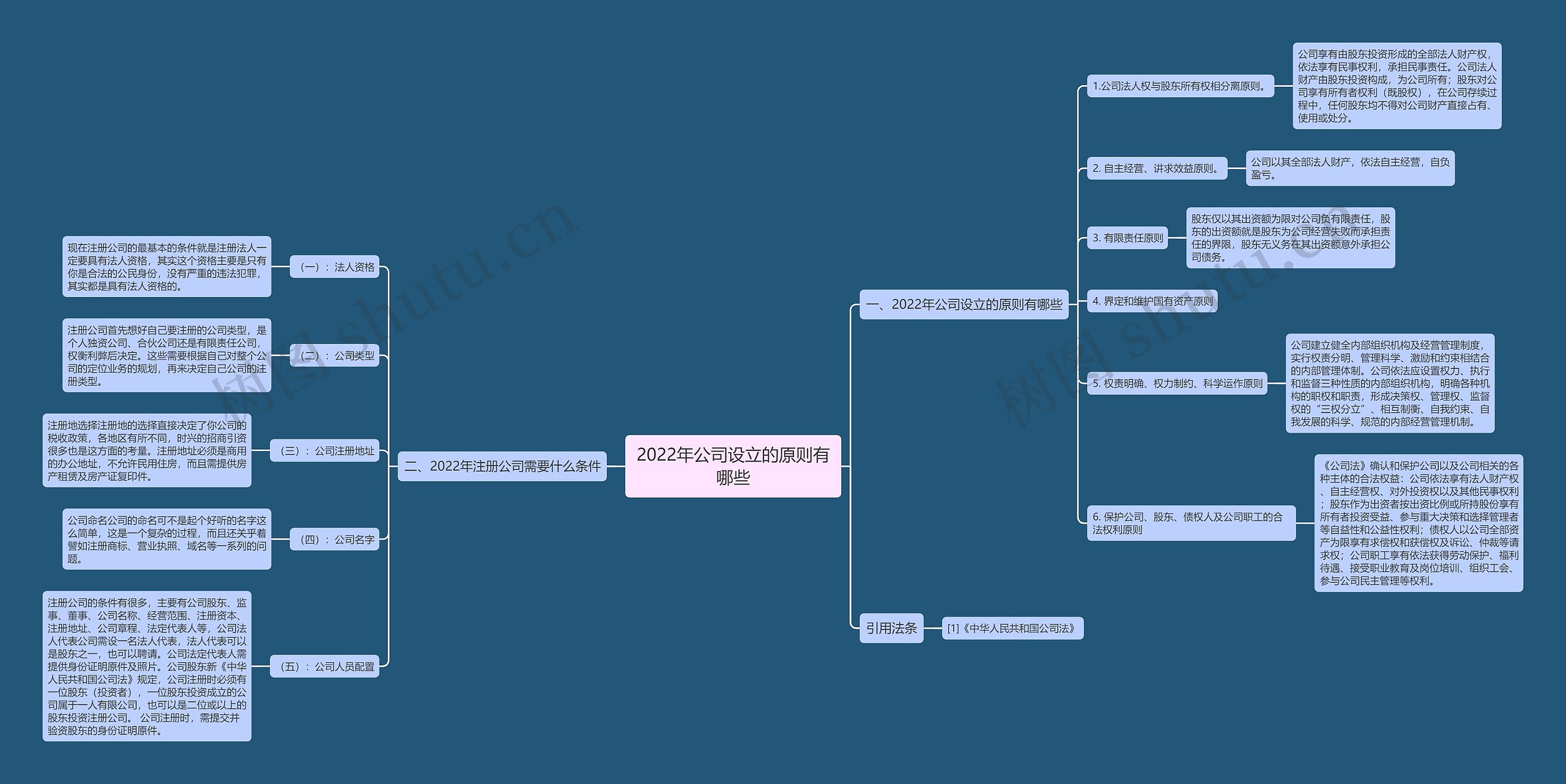 2022年公司设立的原则有哪些 2022年公司设立的原则有哪些