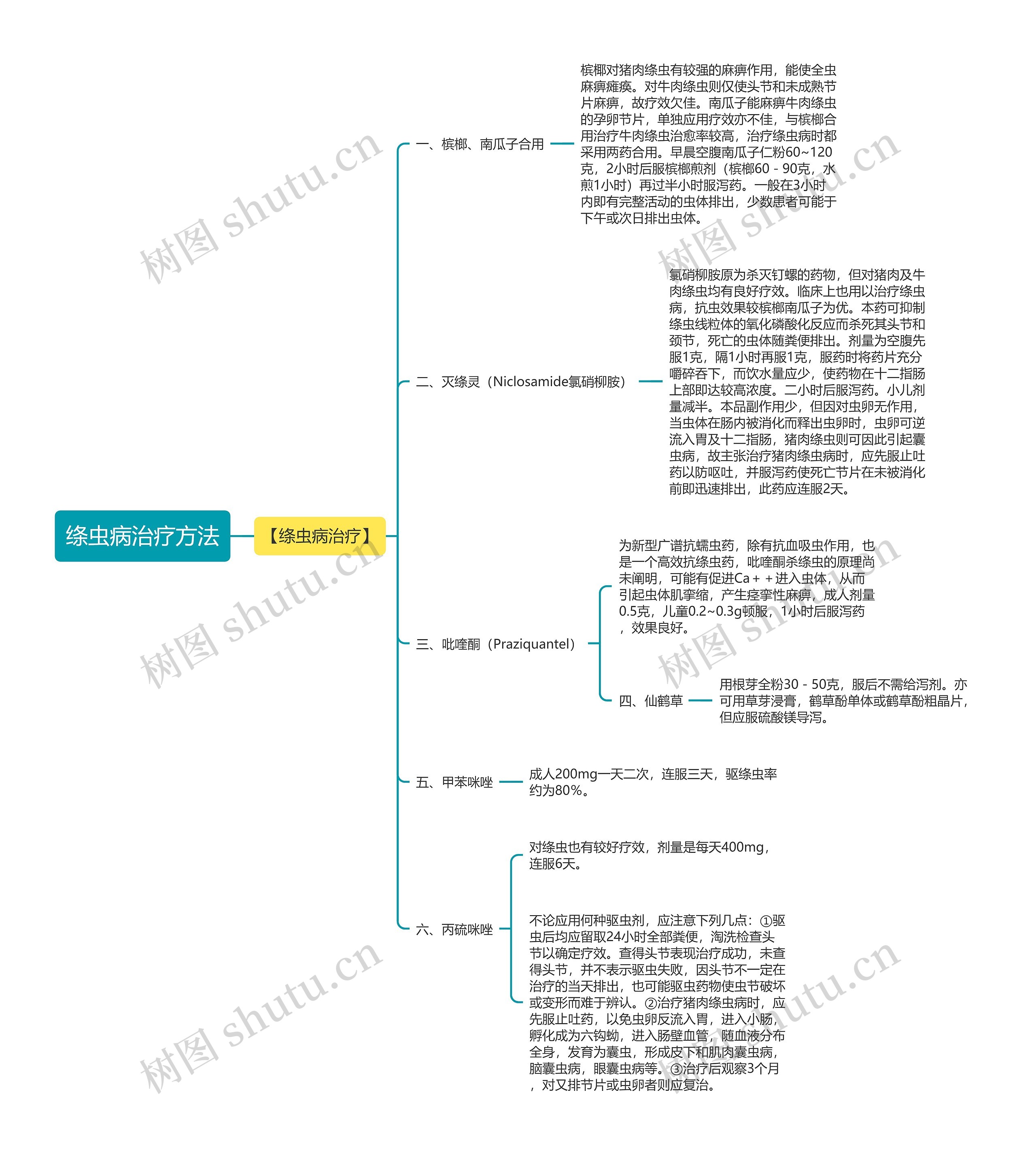 绦虫病治疗方法思维导图