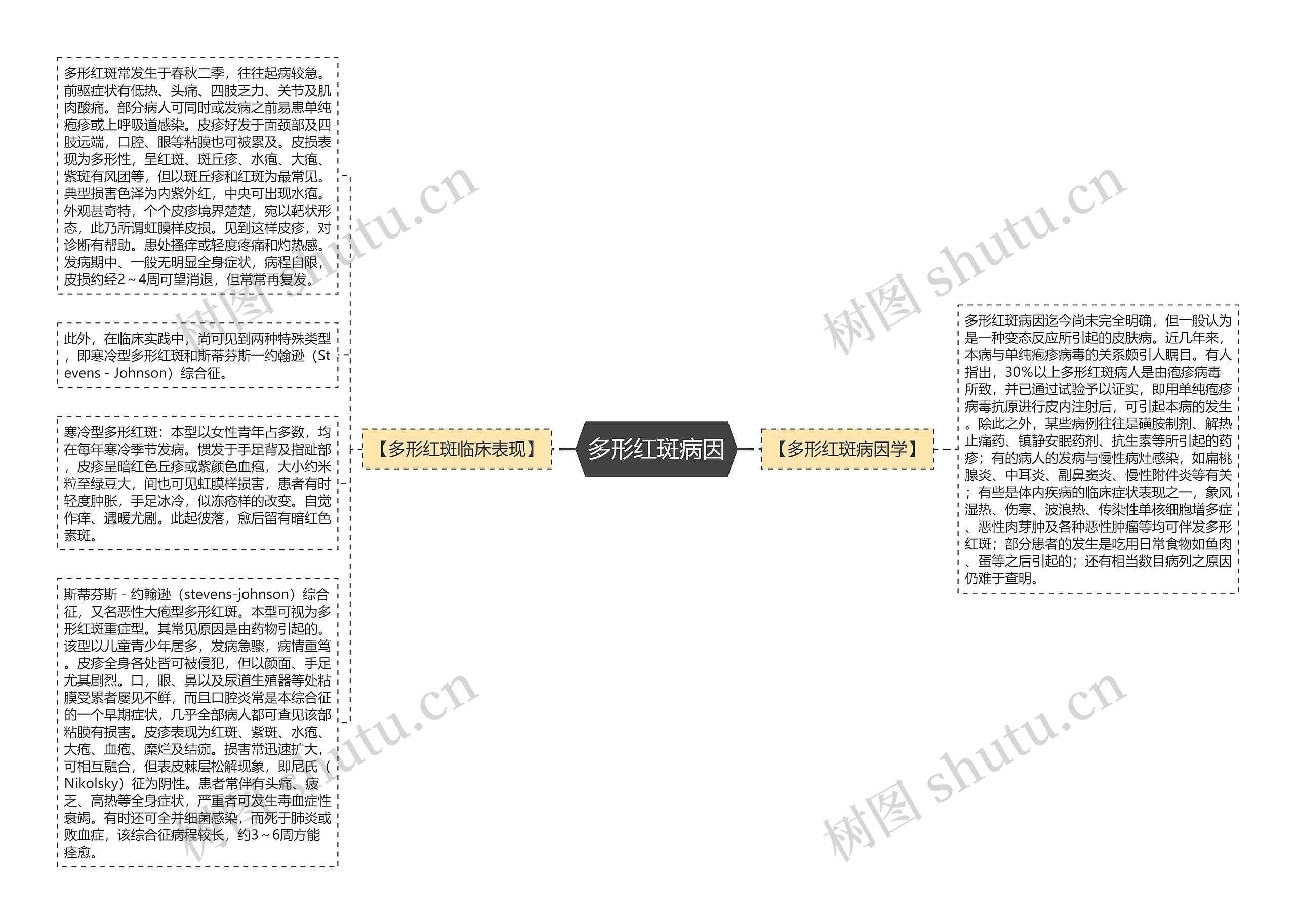 多形红斑病因思维导图