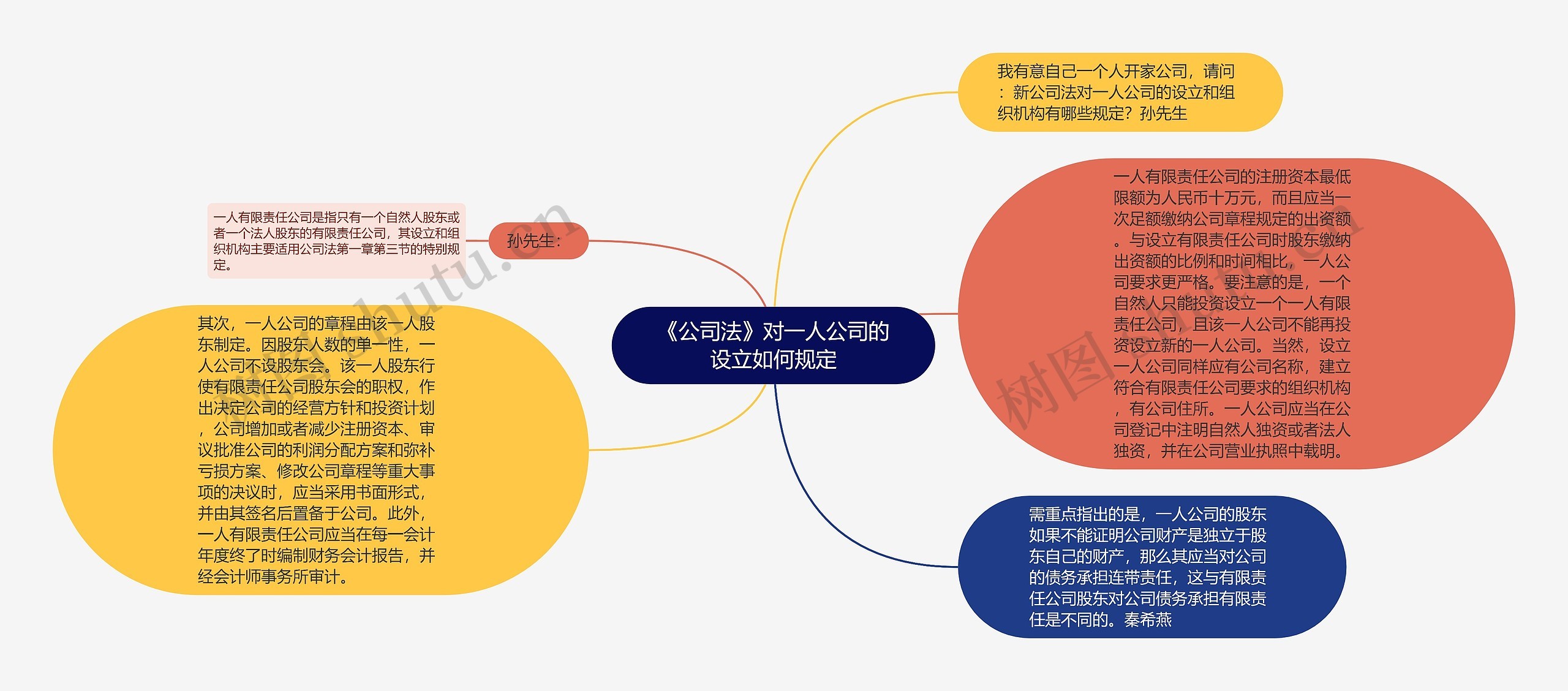 《公司法》对一人公司的设立如何规定思维导图