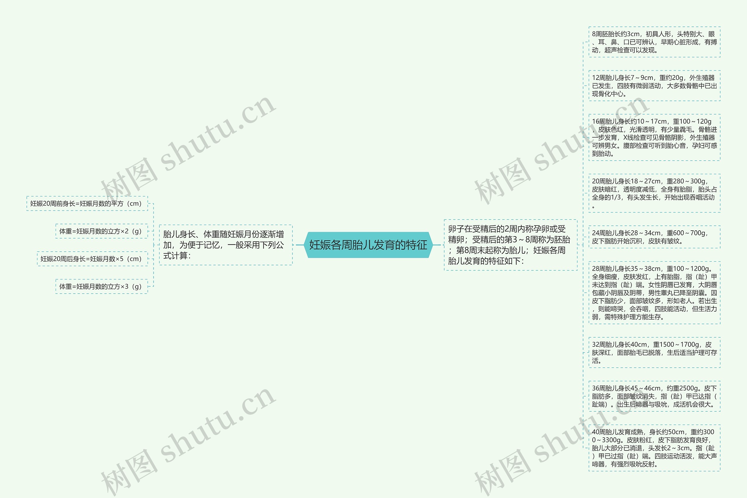 妊娠各周胎儿发育的特征思维导图
