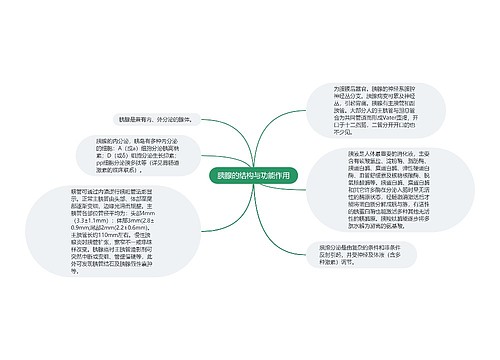 胰腺的结构与功能作用