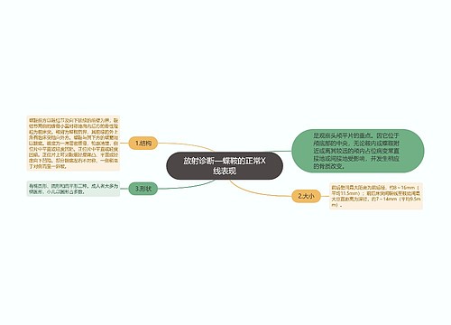 放射诊断—蝶鞍的正常X线表现