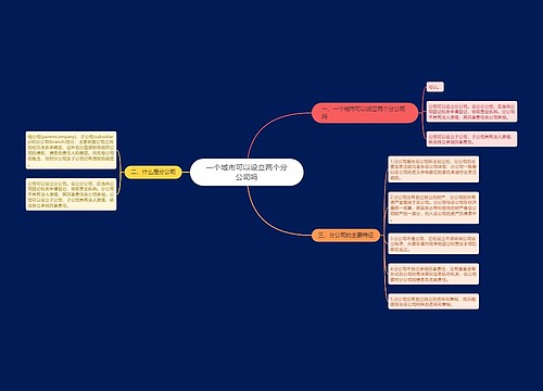 一个城市可以设立两个分公司吗