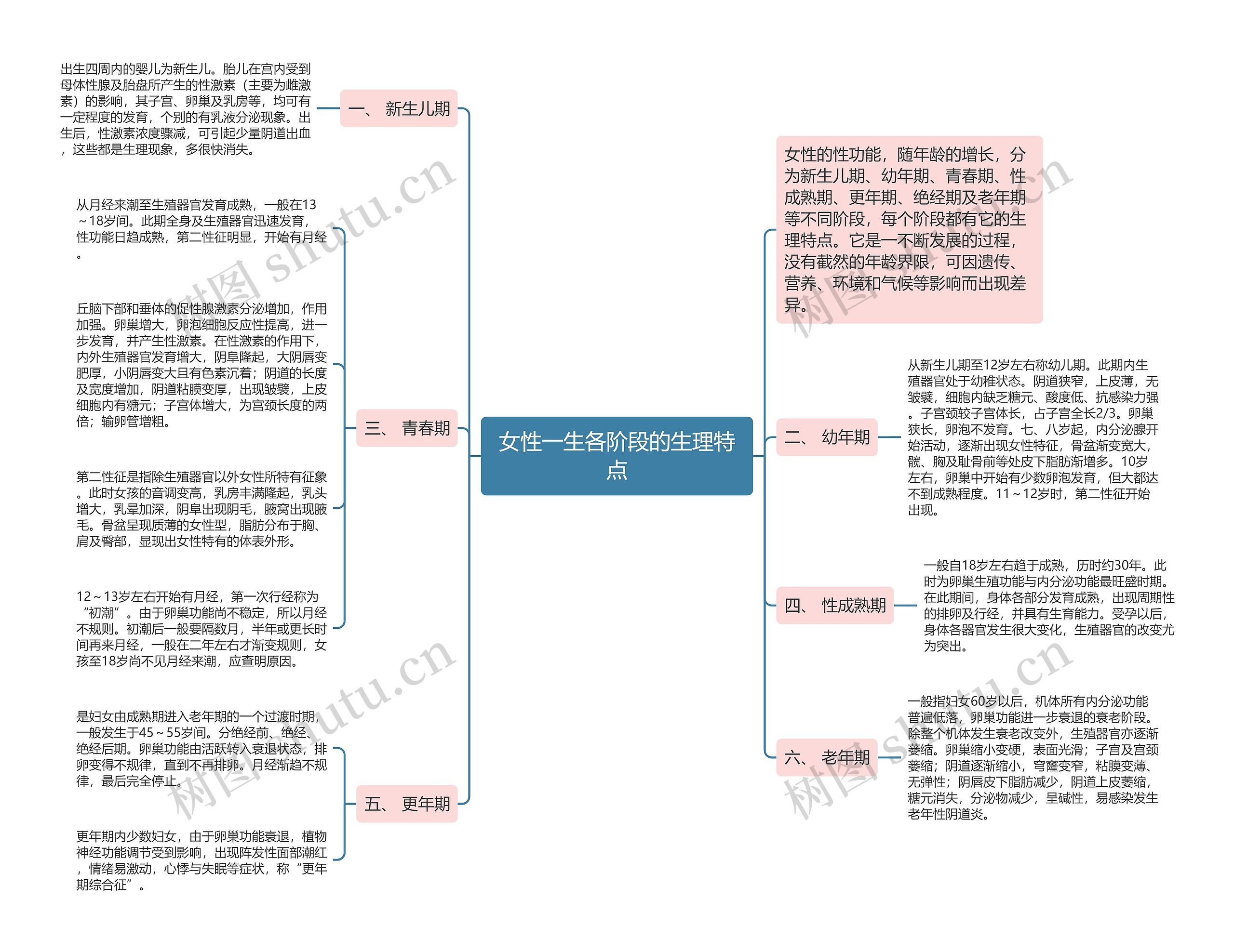 女性一生各阶段的生理特点思维导图