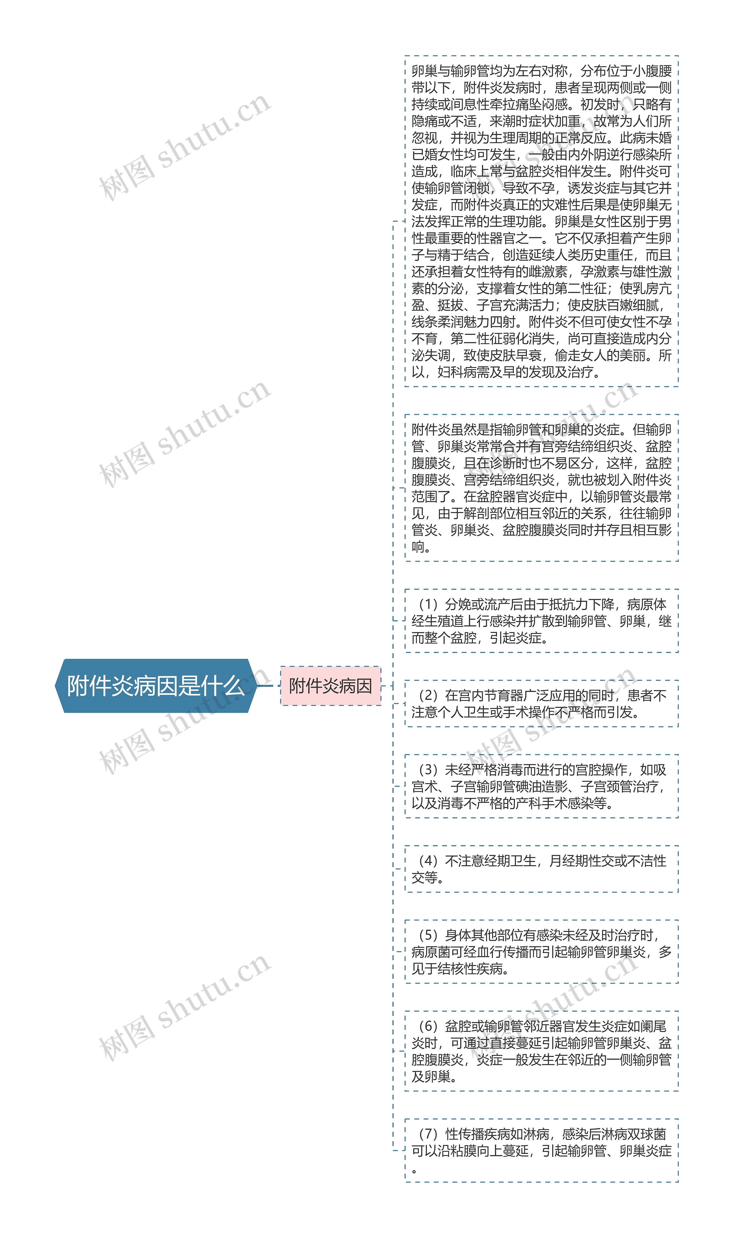 附件炎病因是什么思维导图