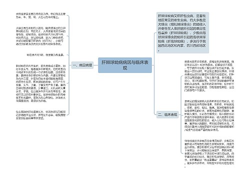 肝棘球蚴病病因与临床表现