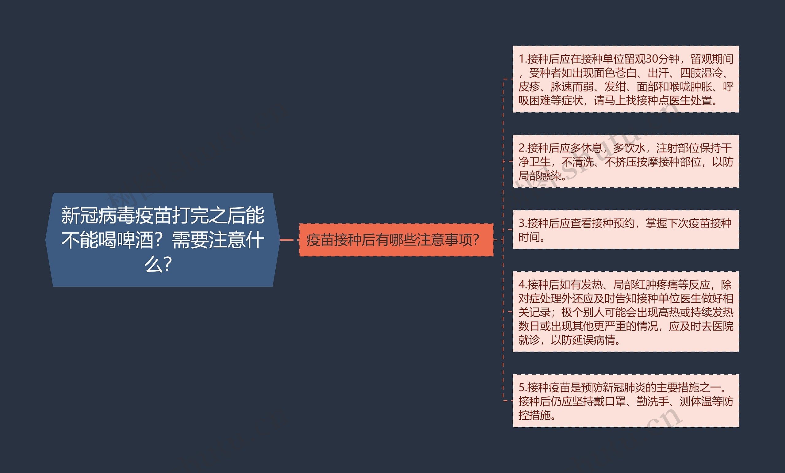 新冠病毒疫苗打完之后能不能喝啤酒？需要注意什么？思维导图