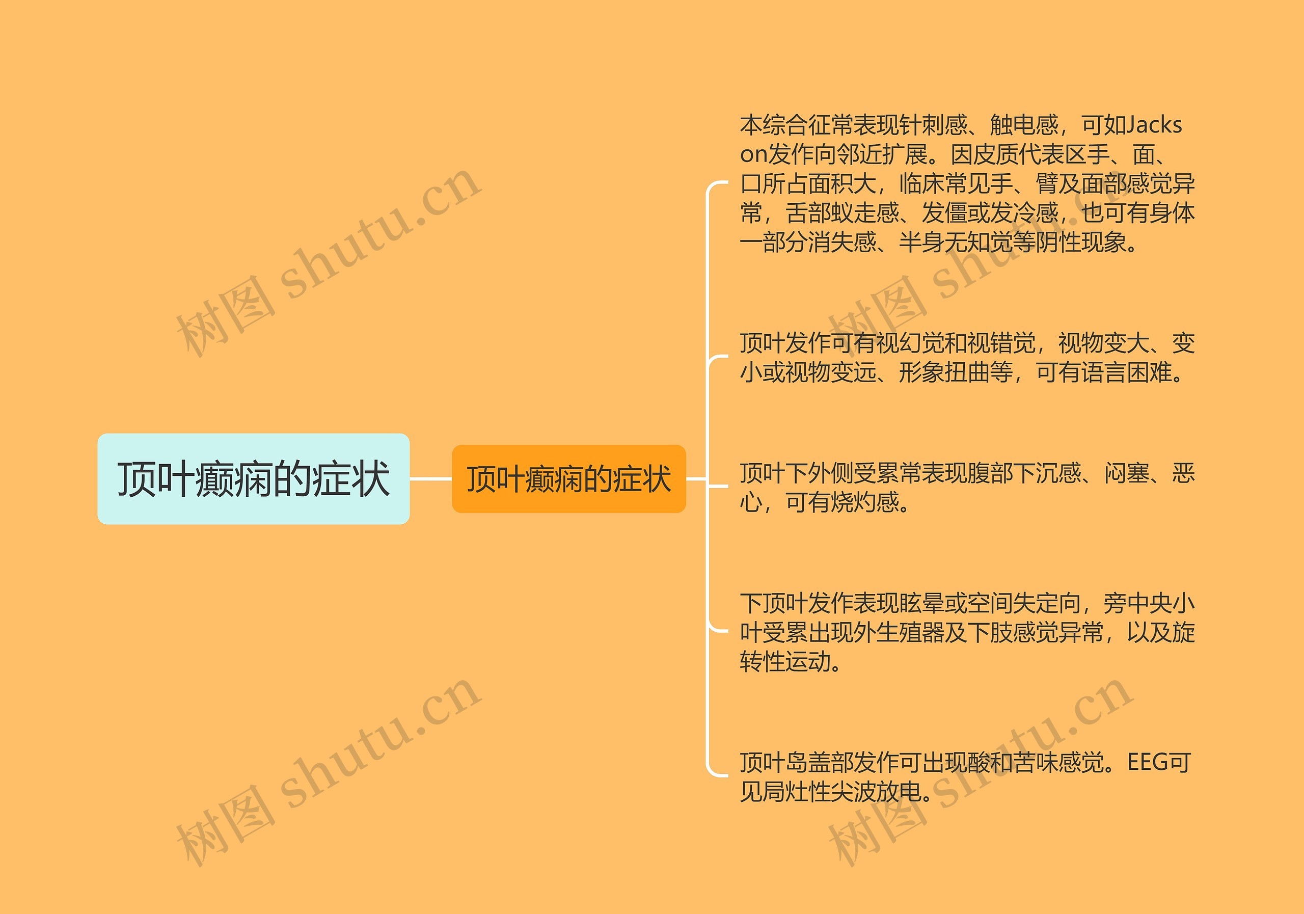 顶叶癫痫的症状思维导图