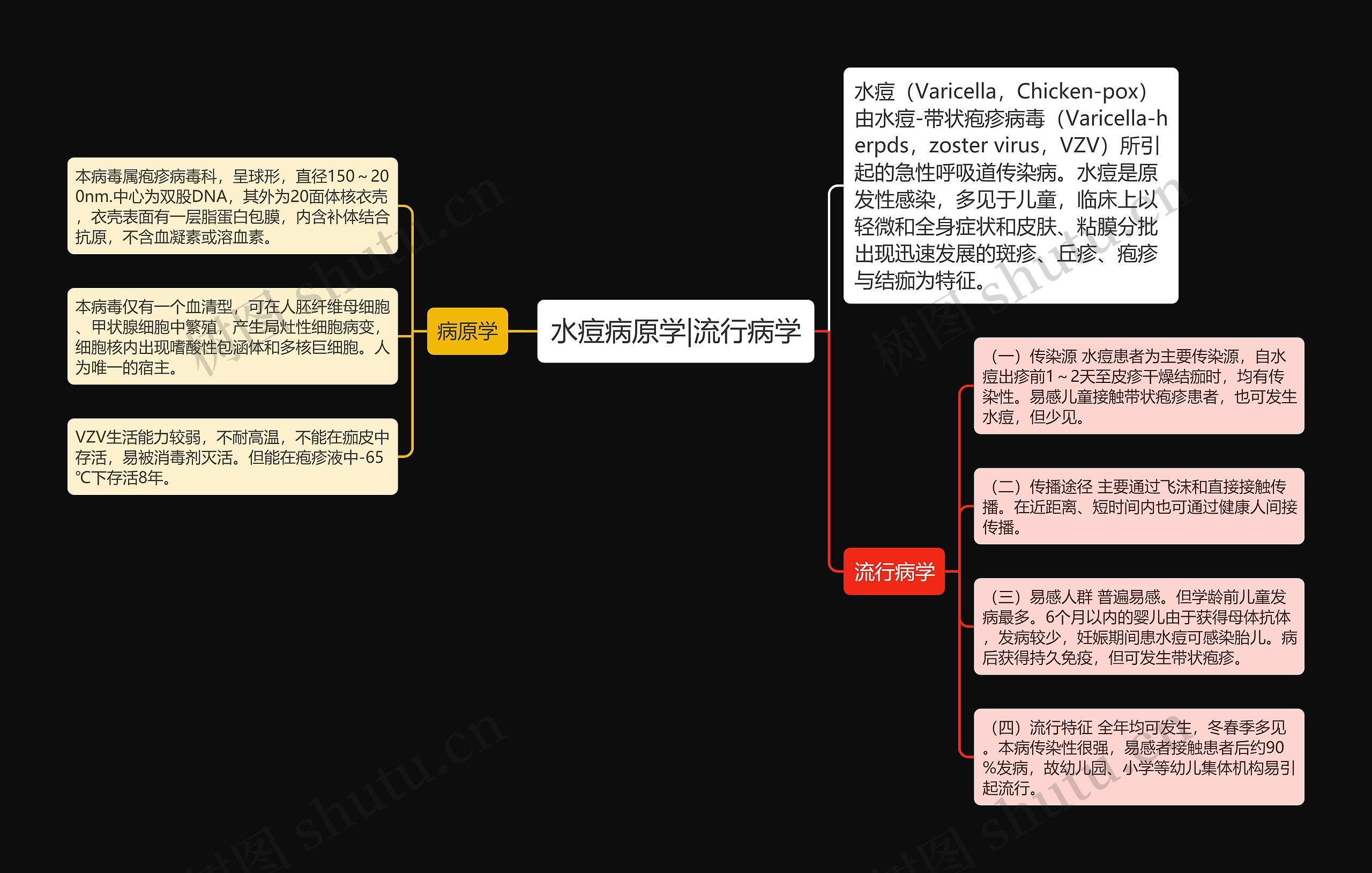 水痘病原学|流行病学