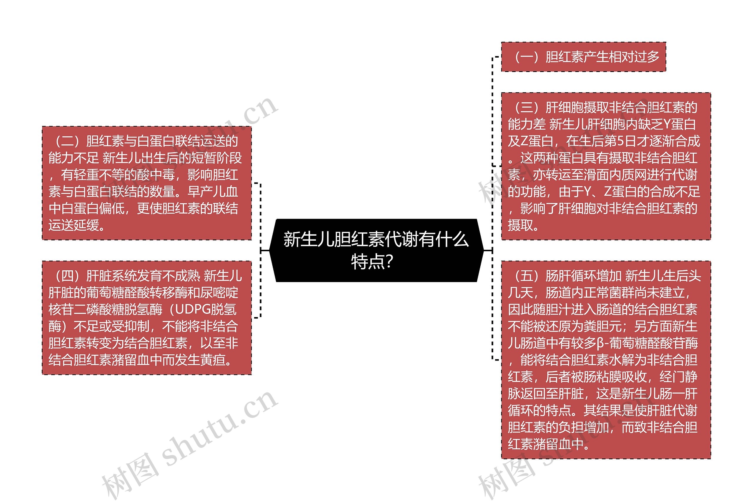 新生儿胆红素代谢有什么特点？思维导图