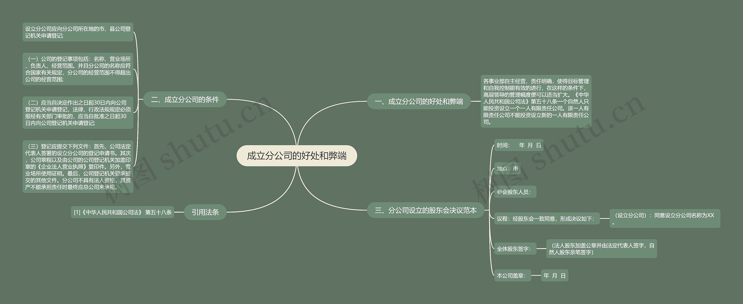 成立分公司的好处和弊端思维导图