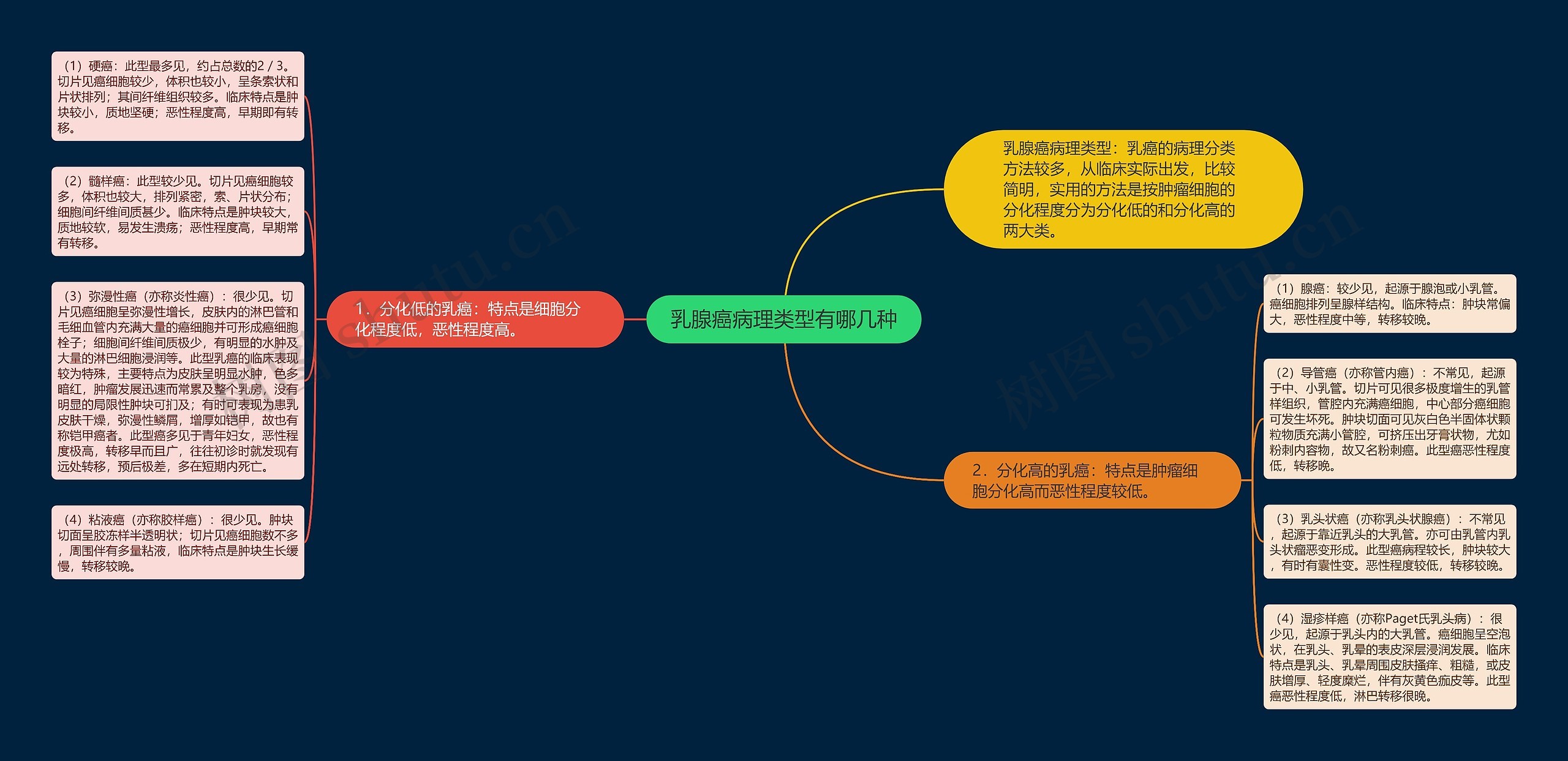 乳腺癌病理类型有哪几种思维导图