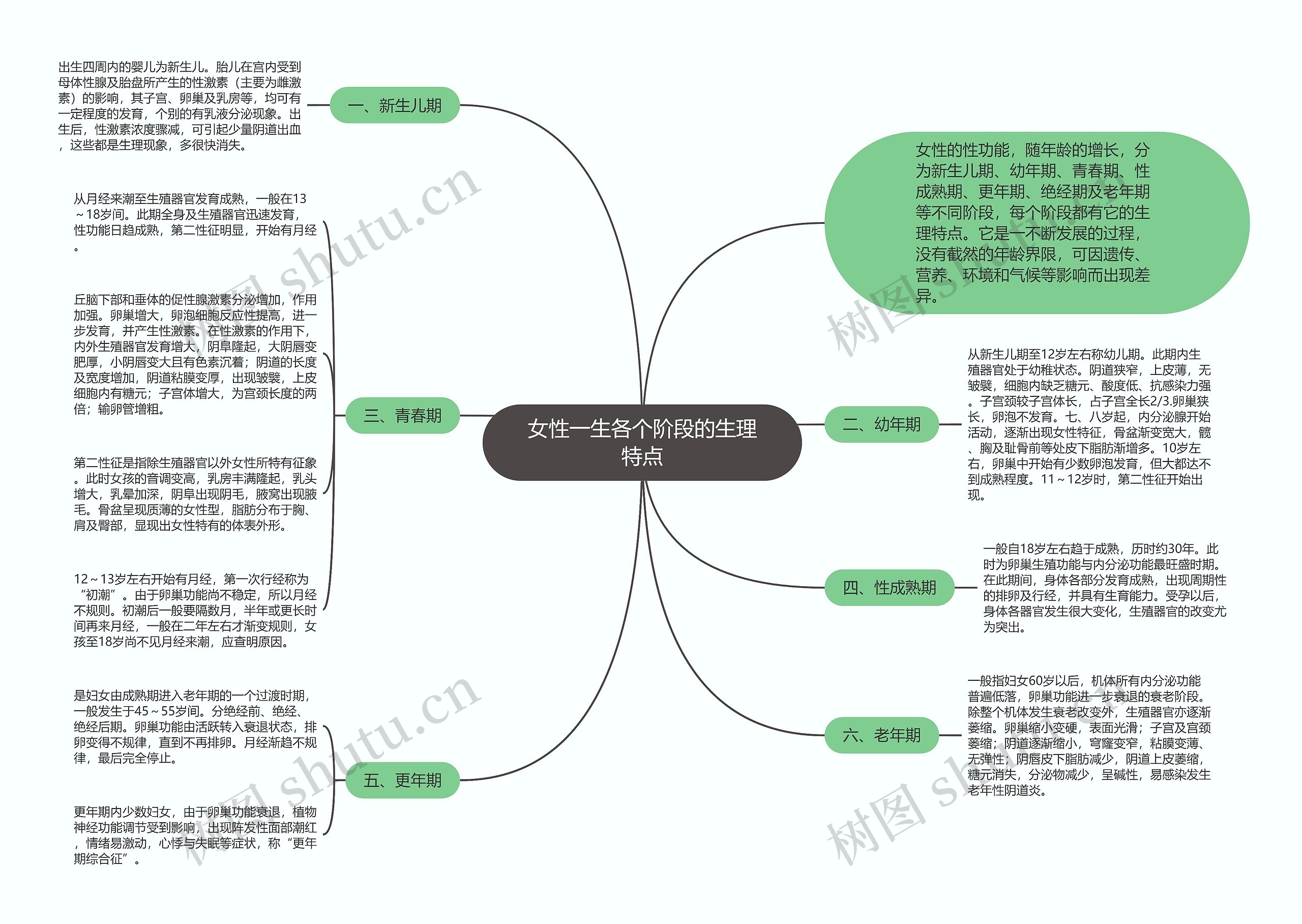 女性一生各个阶段的生理特点思维导图