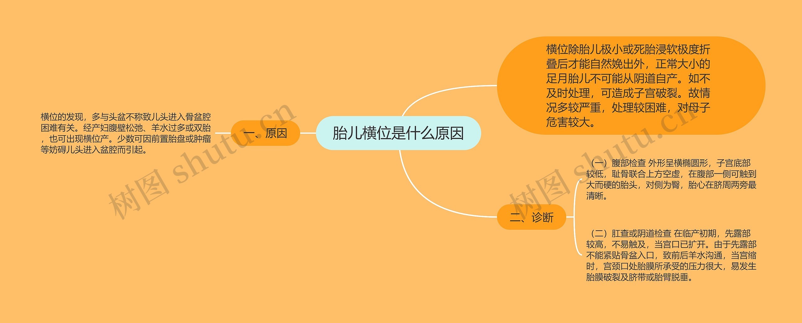 胎儿横位是什么原因 胎儿横位是什么原因