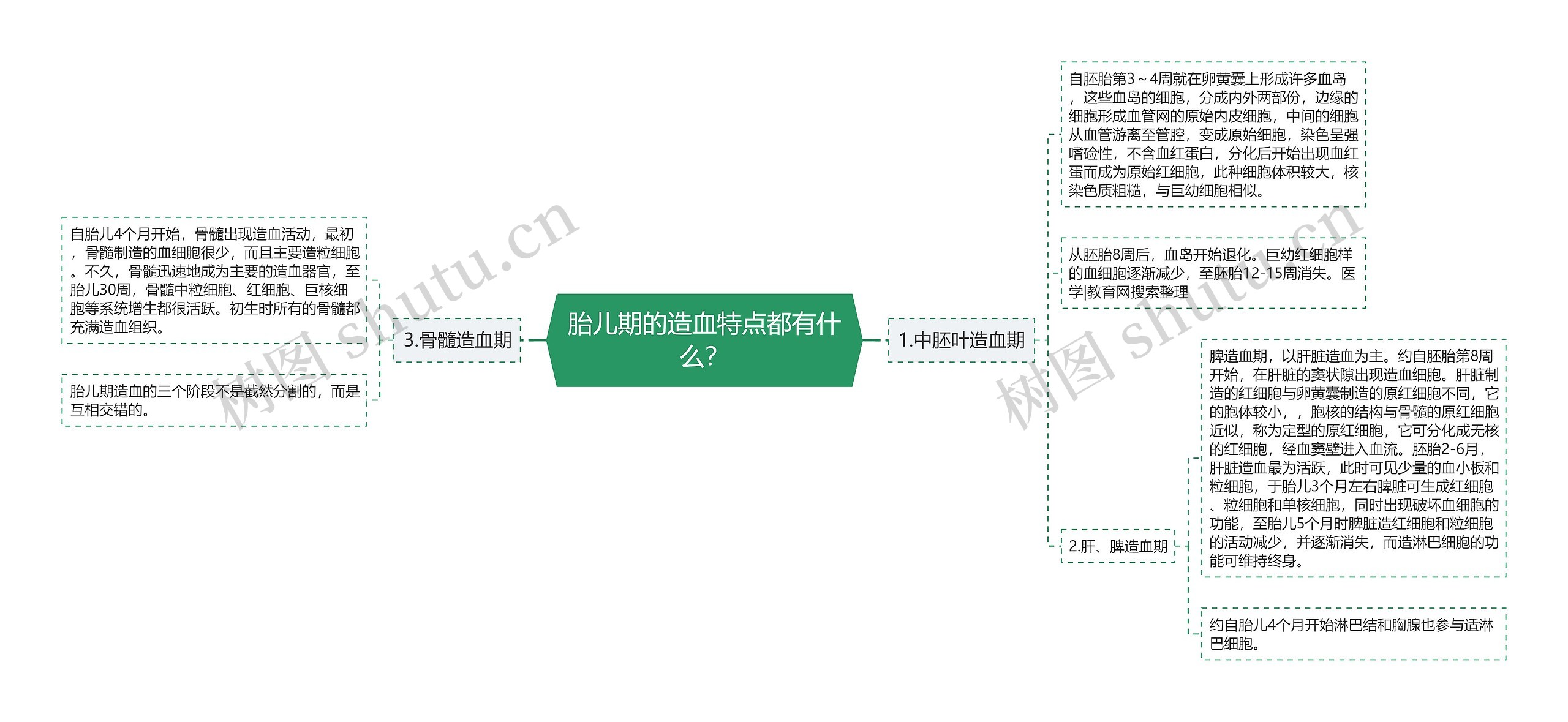 胎儿期的造血特点都有什么？