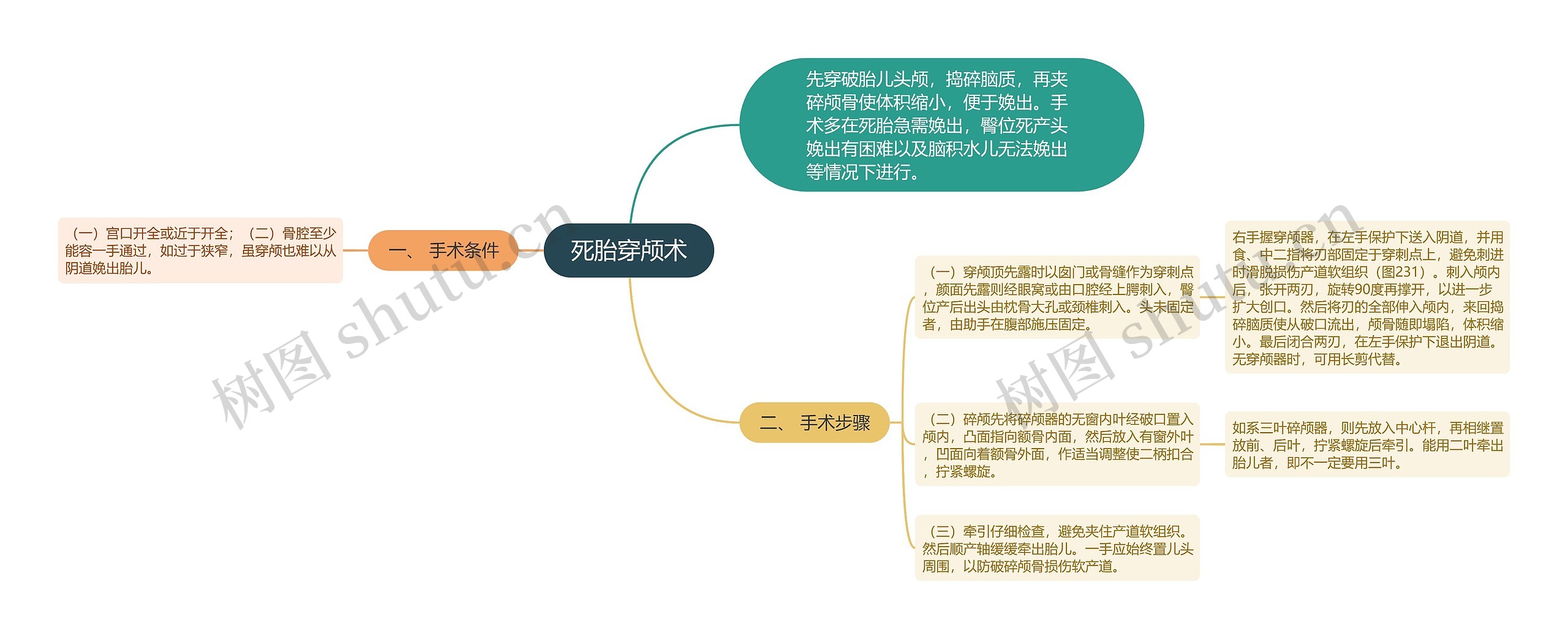 死胎穿颅术思维导图