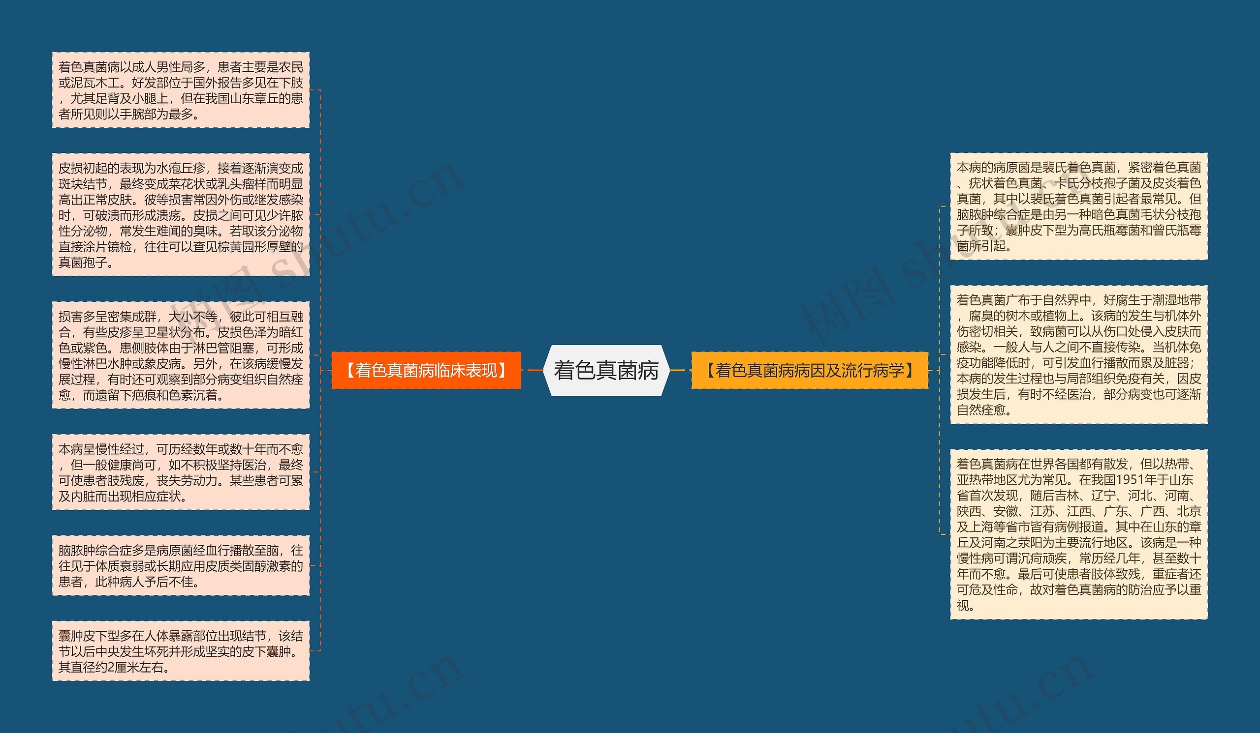 着色真菌病 着色真菌病