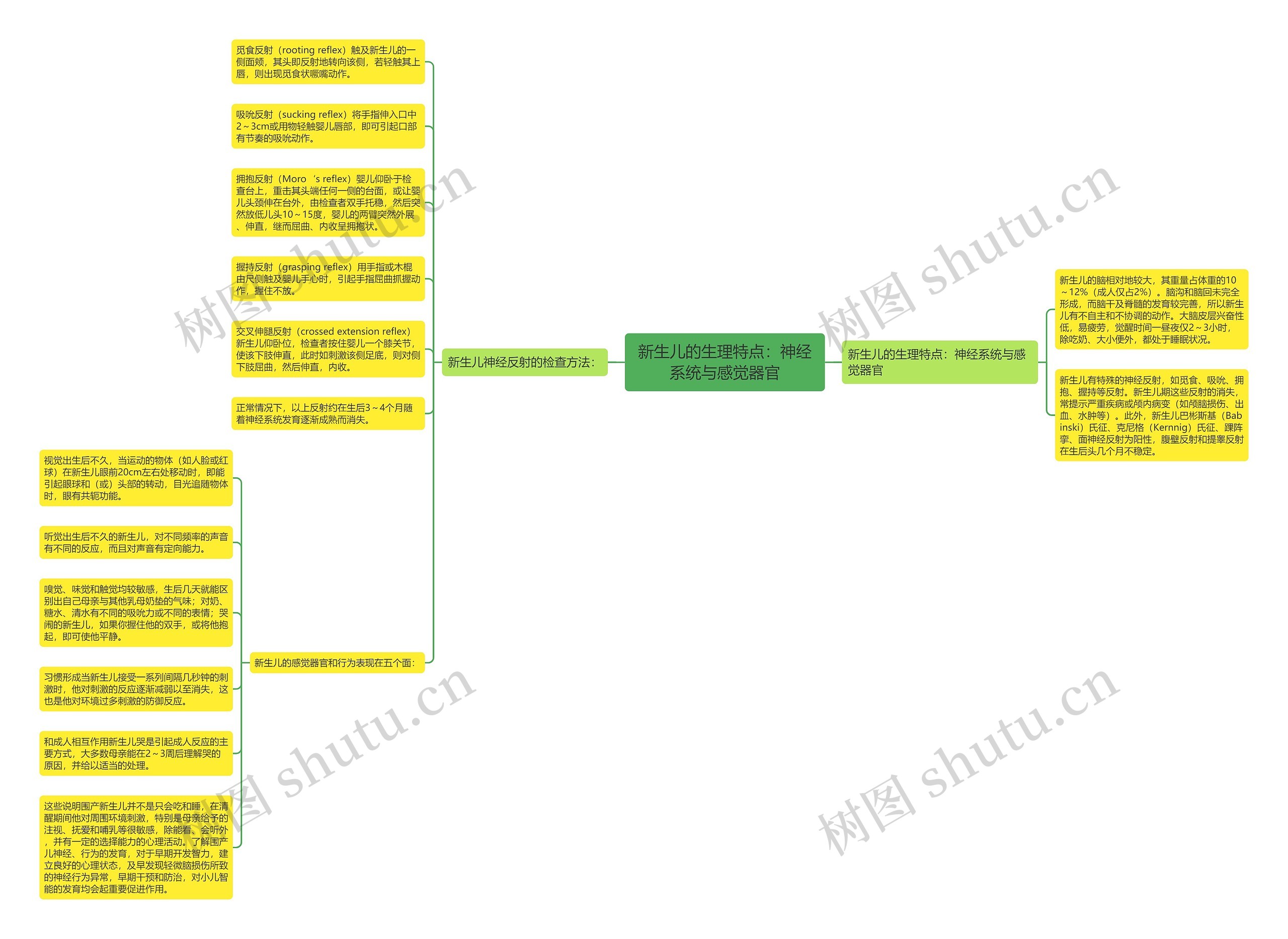 新生儿的生理特点:神经系统与感觉器官 新生儿的生理特点:神经系统与感觉器官