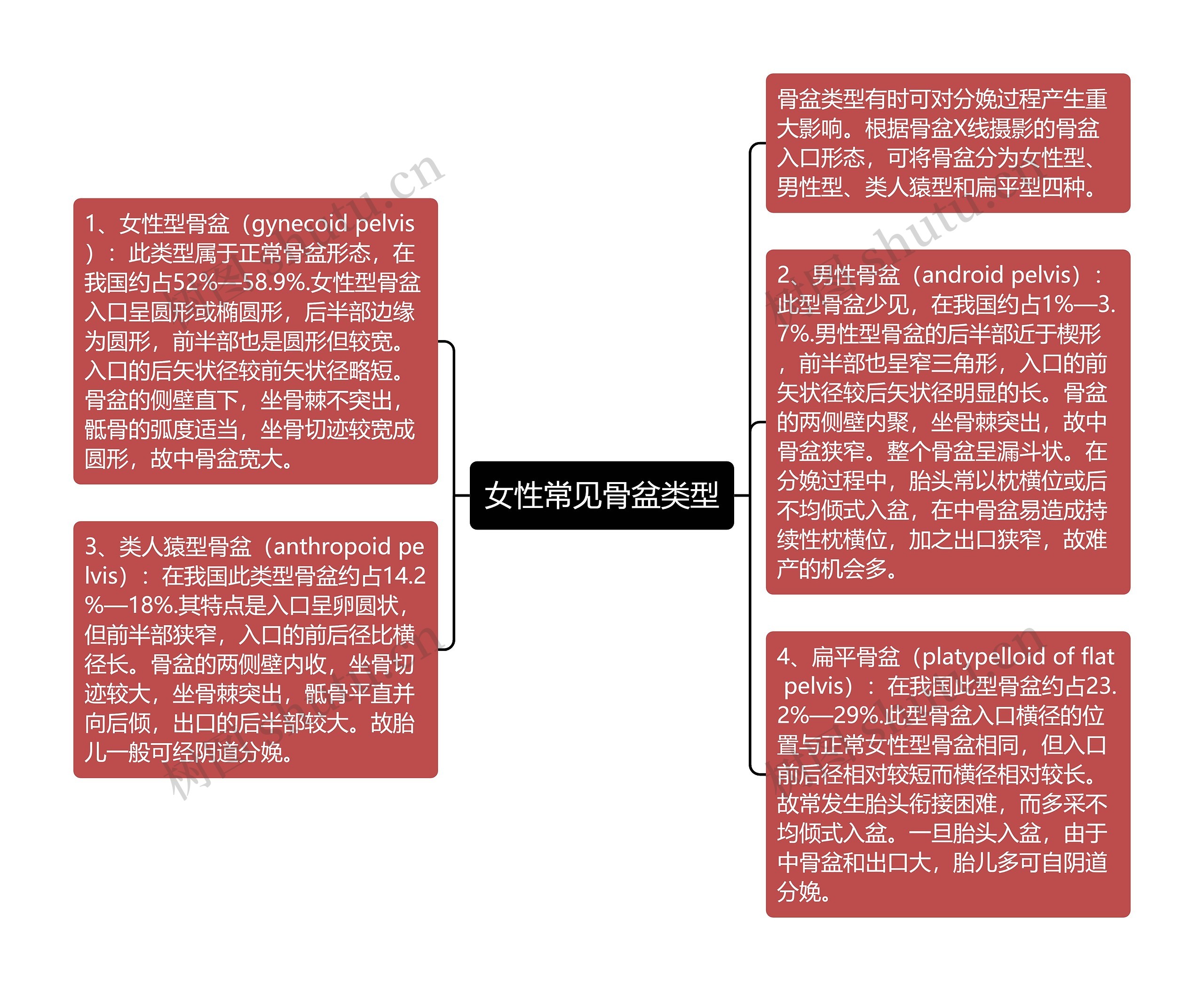 女性常见骨盆类型思维导图