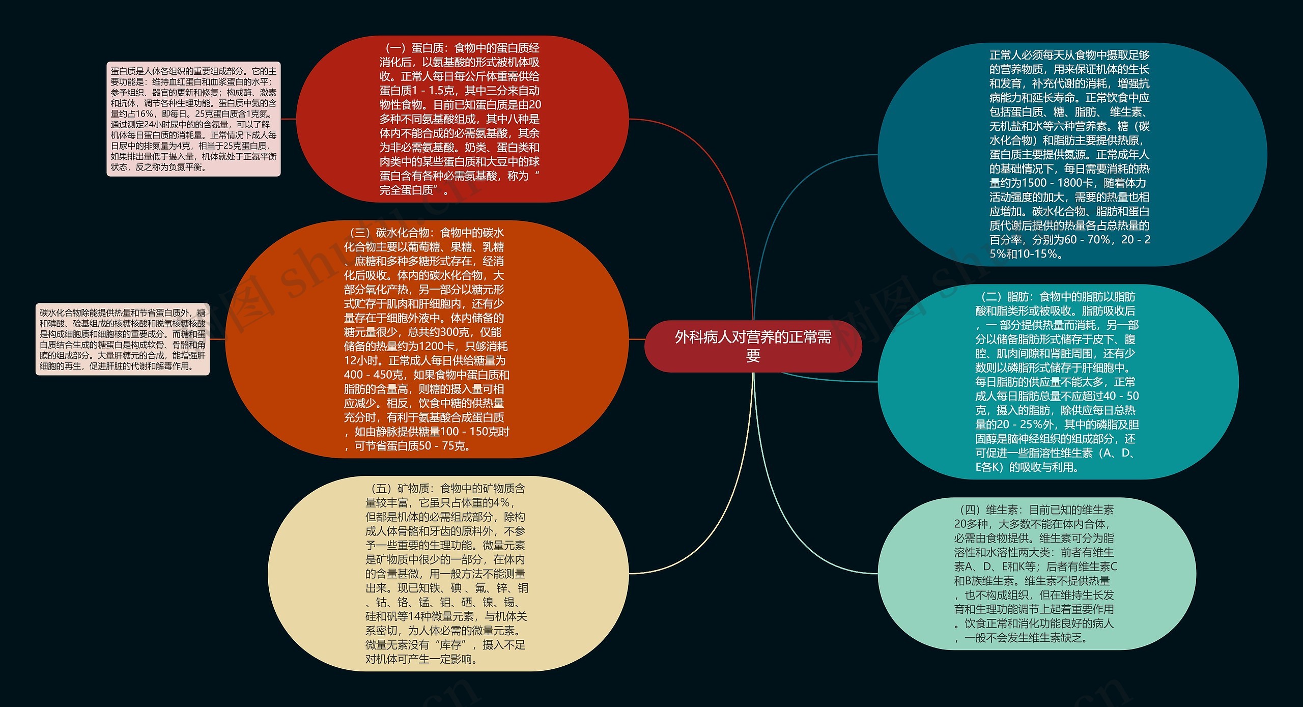 外科病人对营养的正常需要思维导图