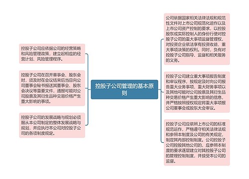 控股子公司管理的基本原则