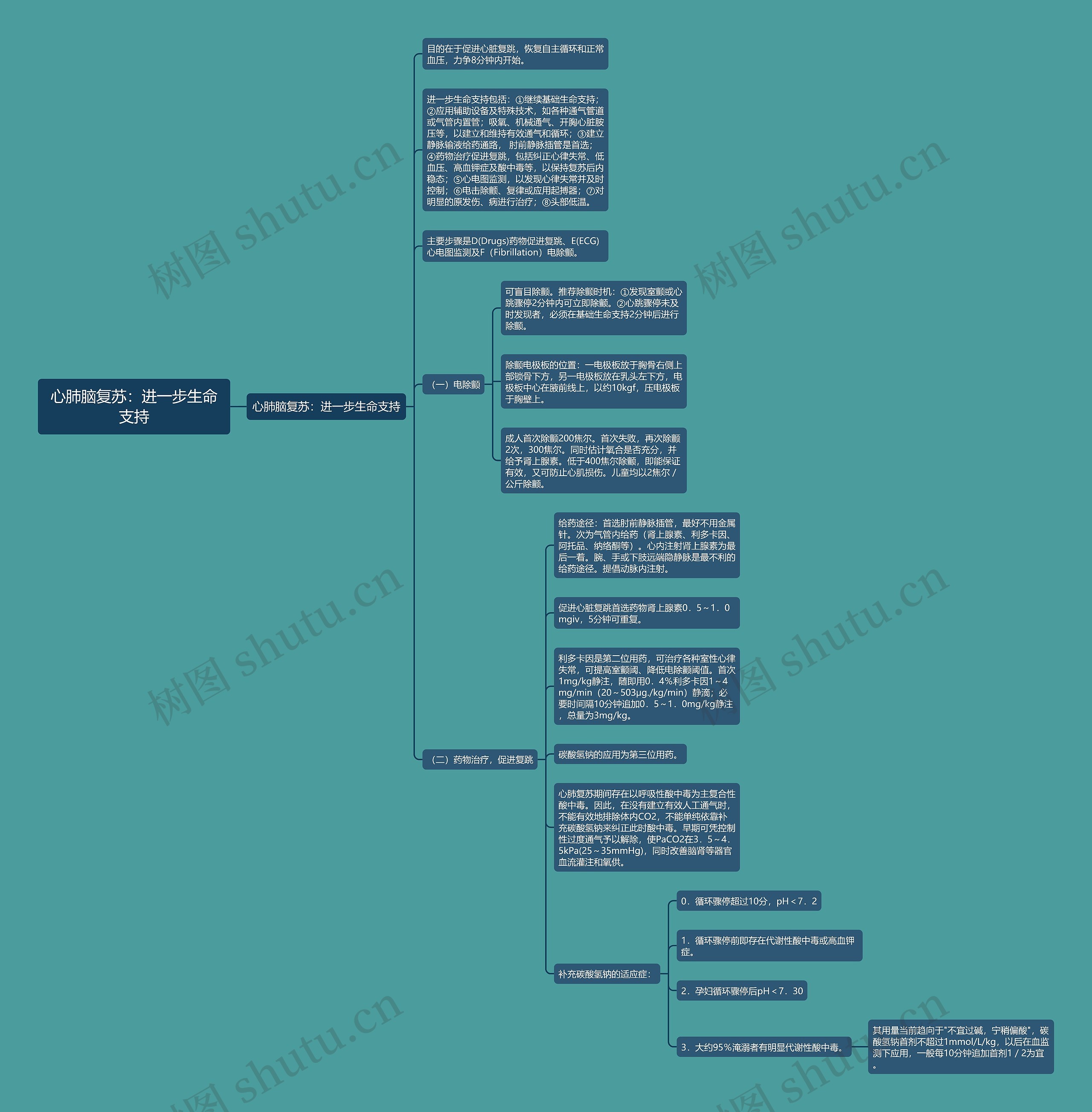 心肺脑复苏：进一步生命支持思维导图