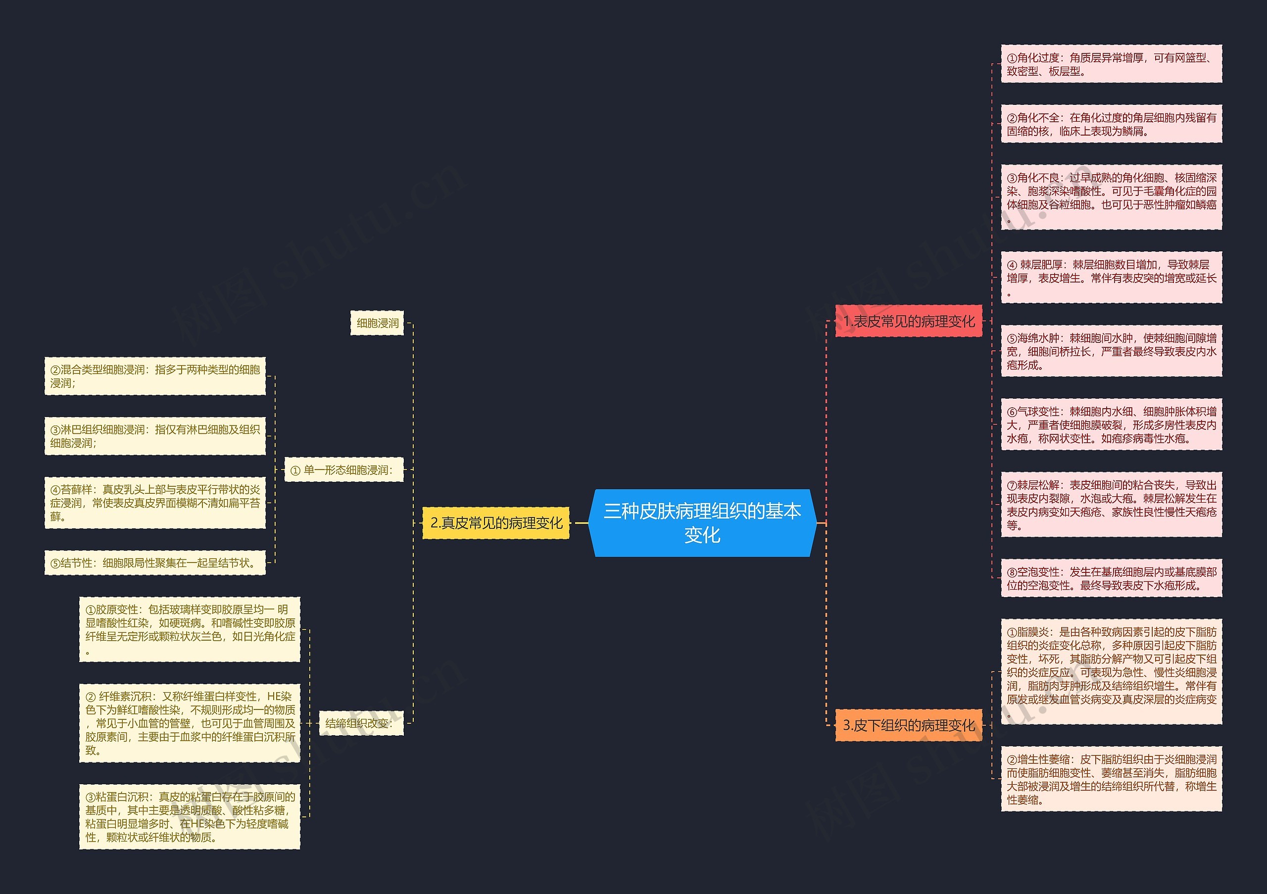 三种皮肤病理组织的基本变化思维导图