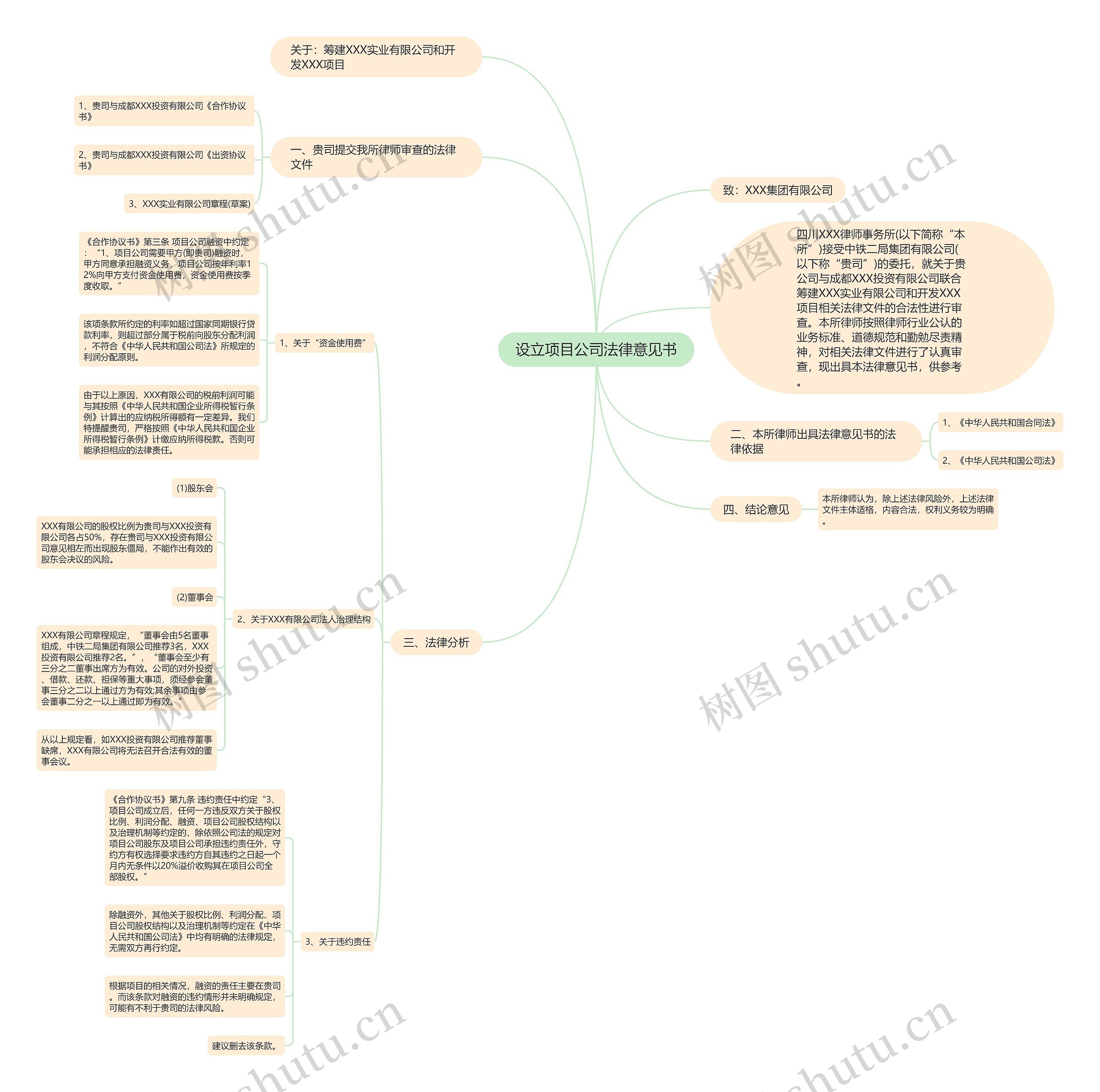 设立项目公司法律意见书思维导图