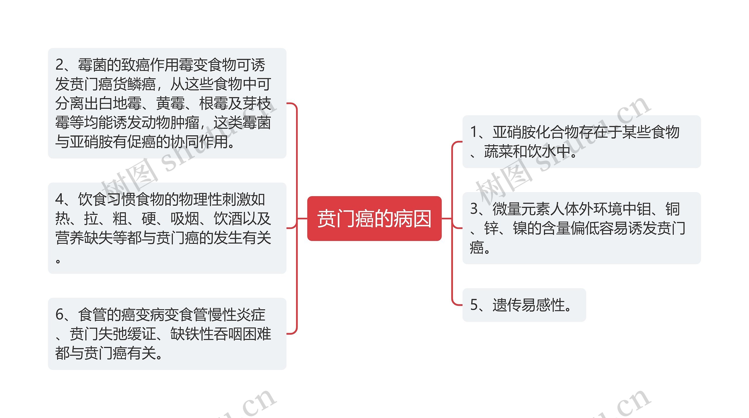 贲门癌的病因思维导图