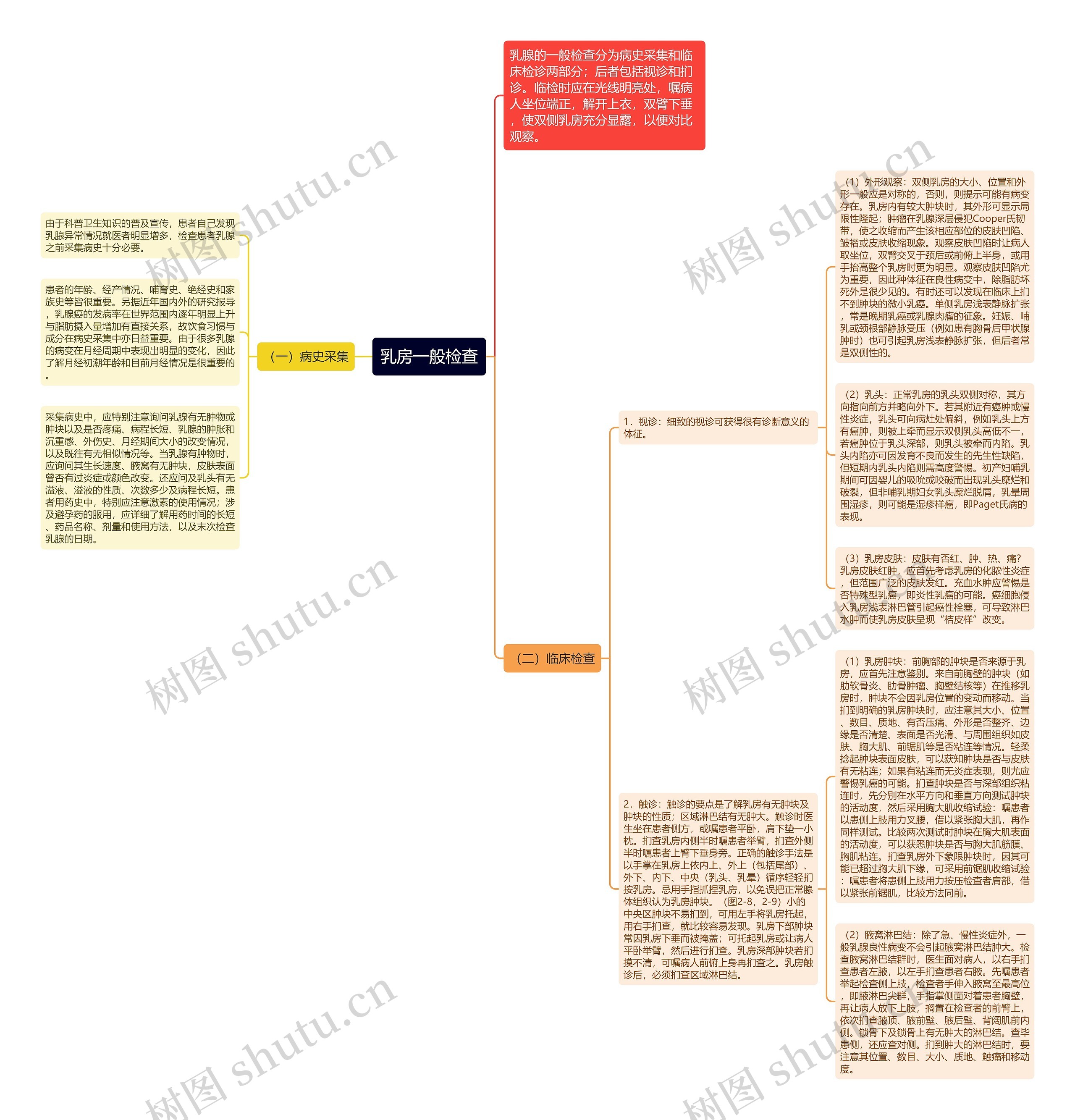 乳房一般检查 乳房一般检查