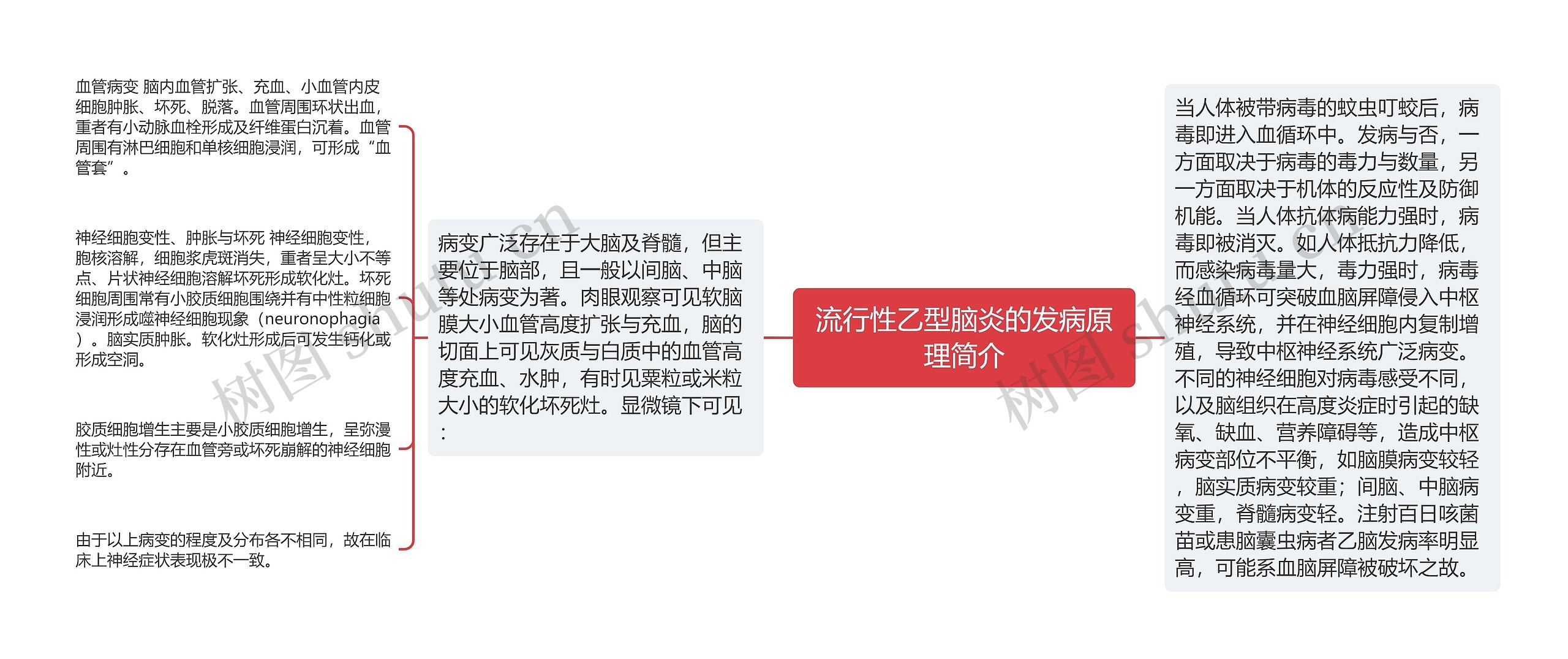 流行性乙型脑炎的发病原理简介 流行性乙型脑炎的发病原理简介