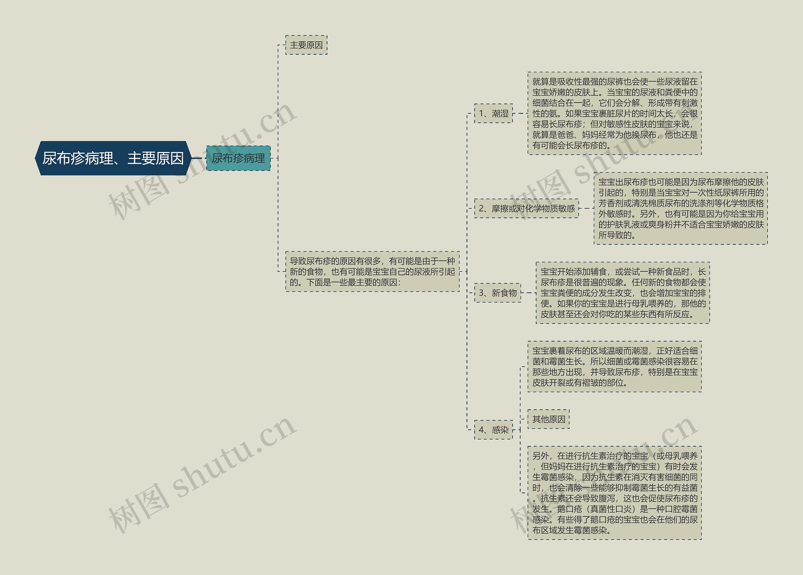 尿布疹病理、主要原因