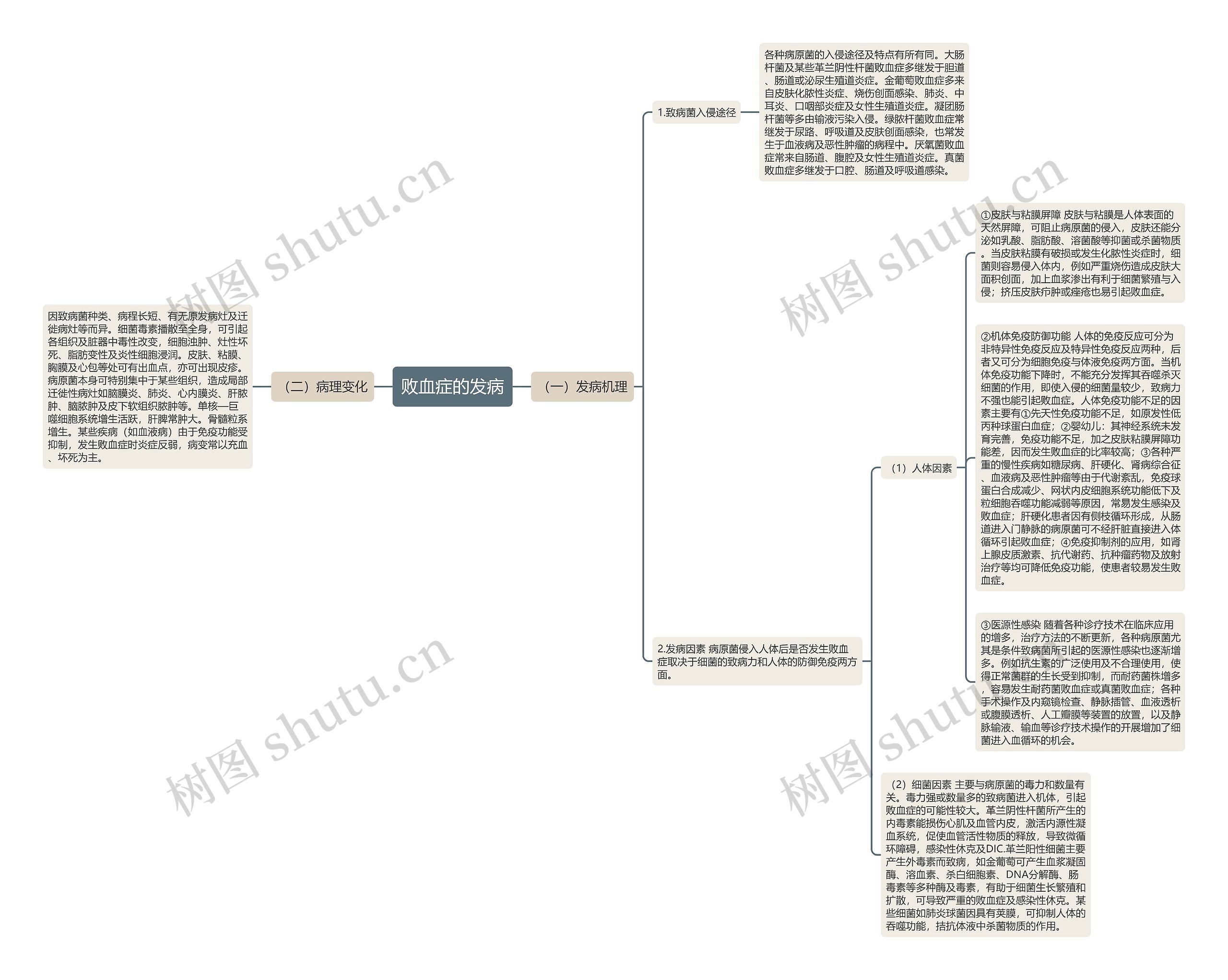败血症的发病 败血症的发病